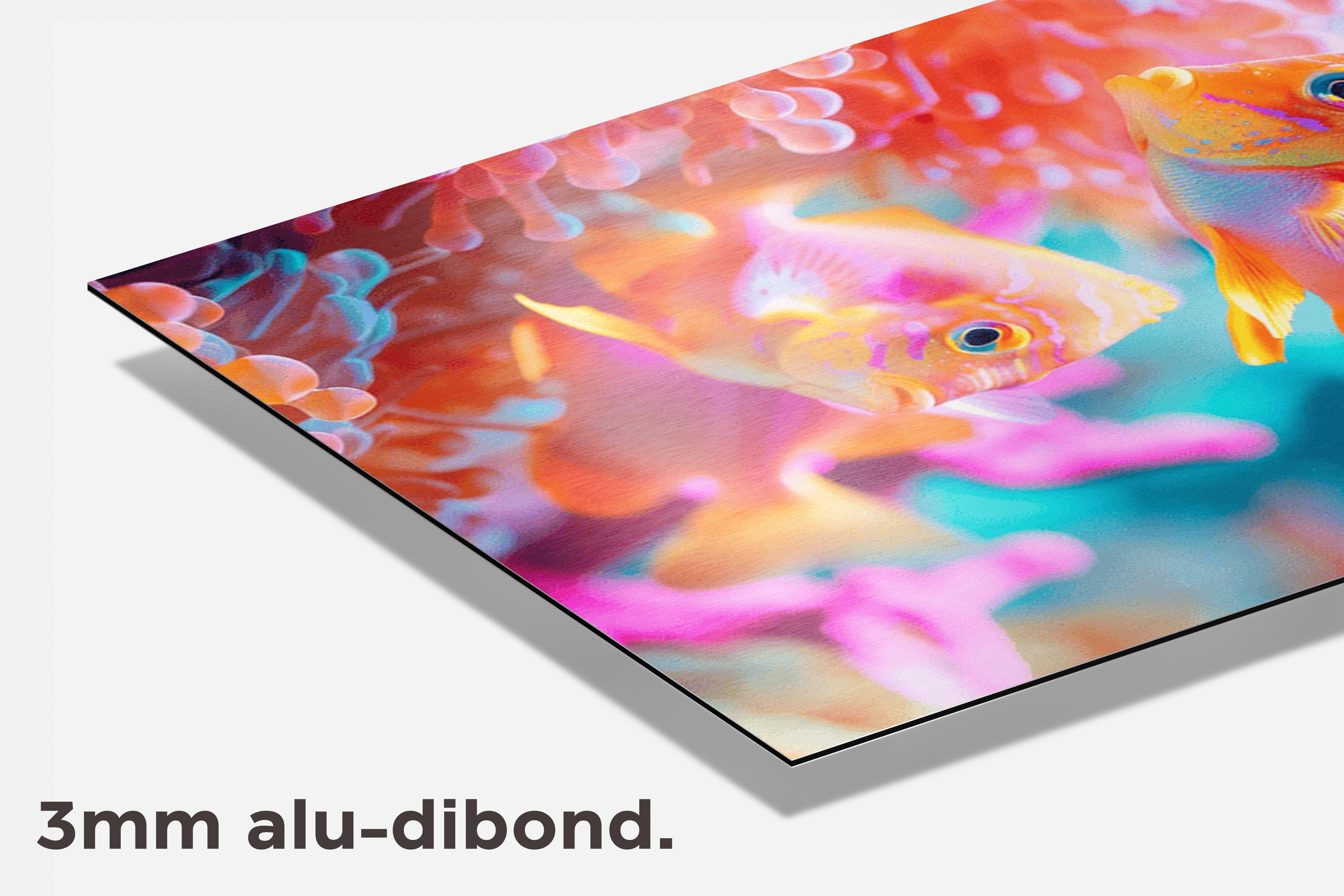 Kleurrijke Vis dibond detail
