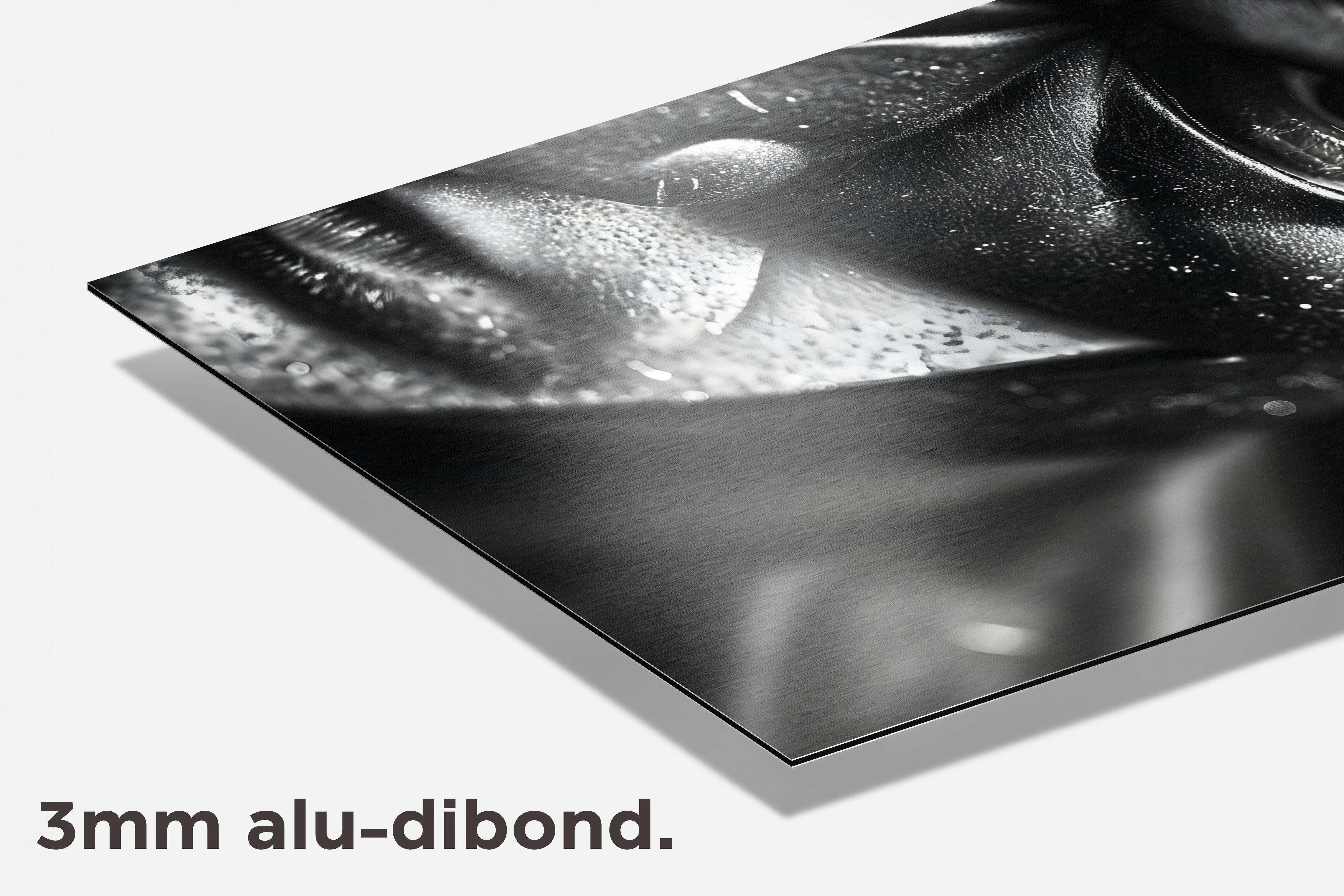 Batman Zwart-Wit dibond detail