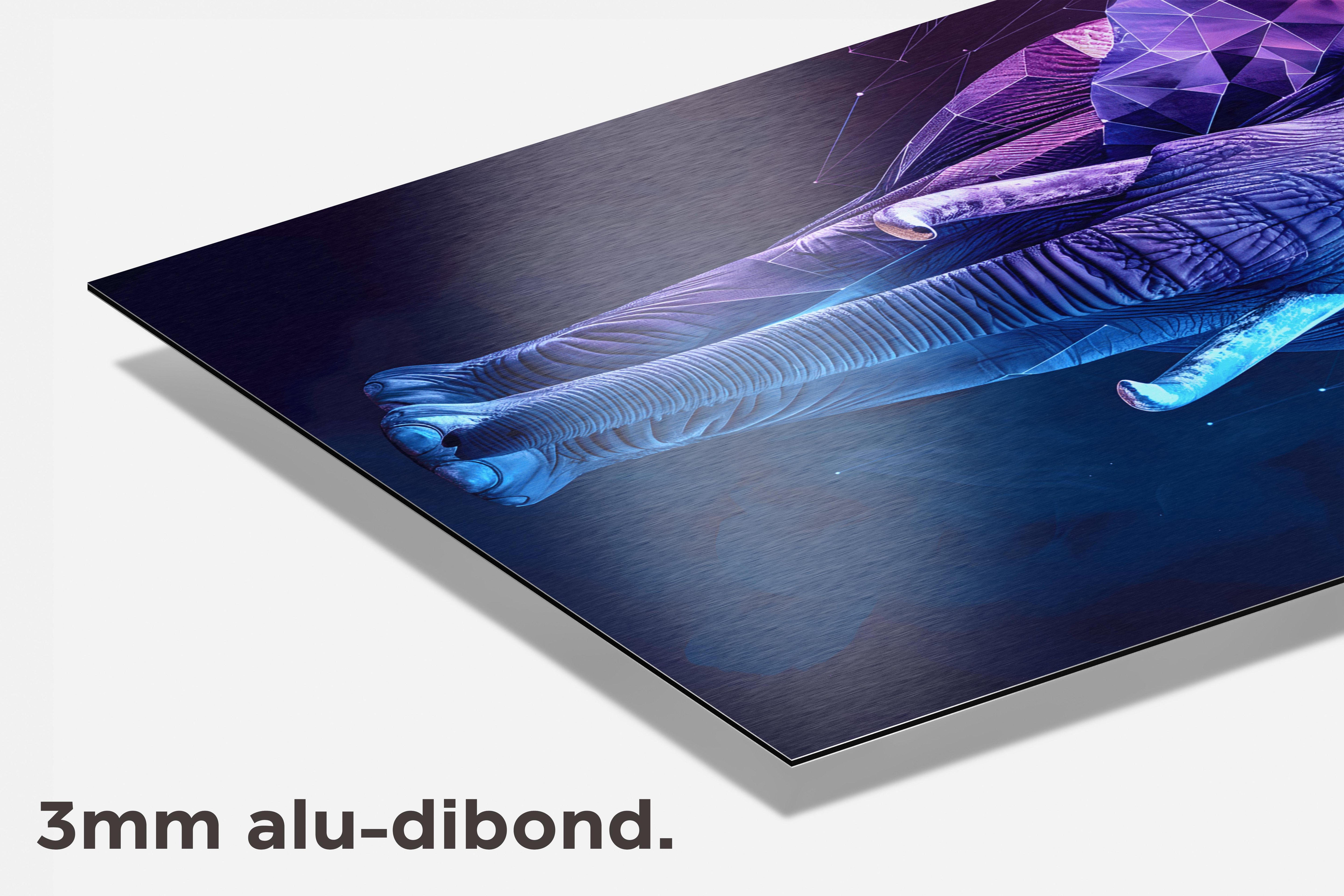 Olifant Low Poly dibond detail