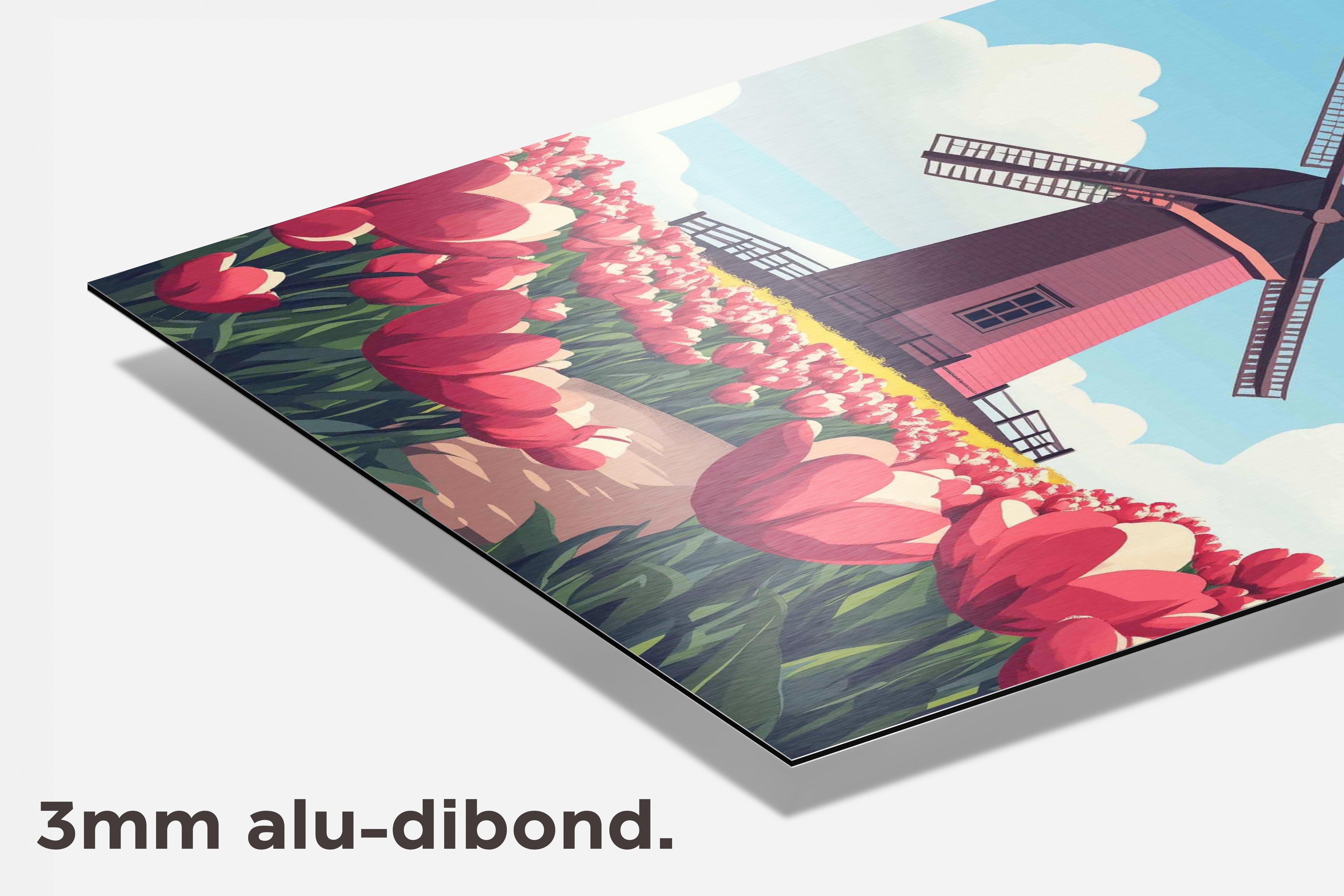 Tulpen Molen dibond detail