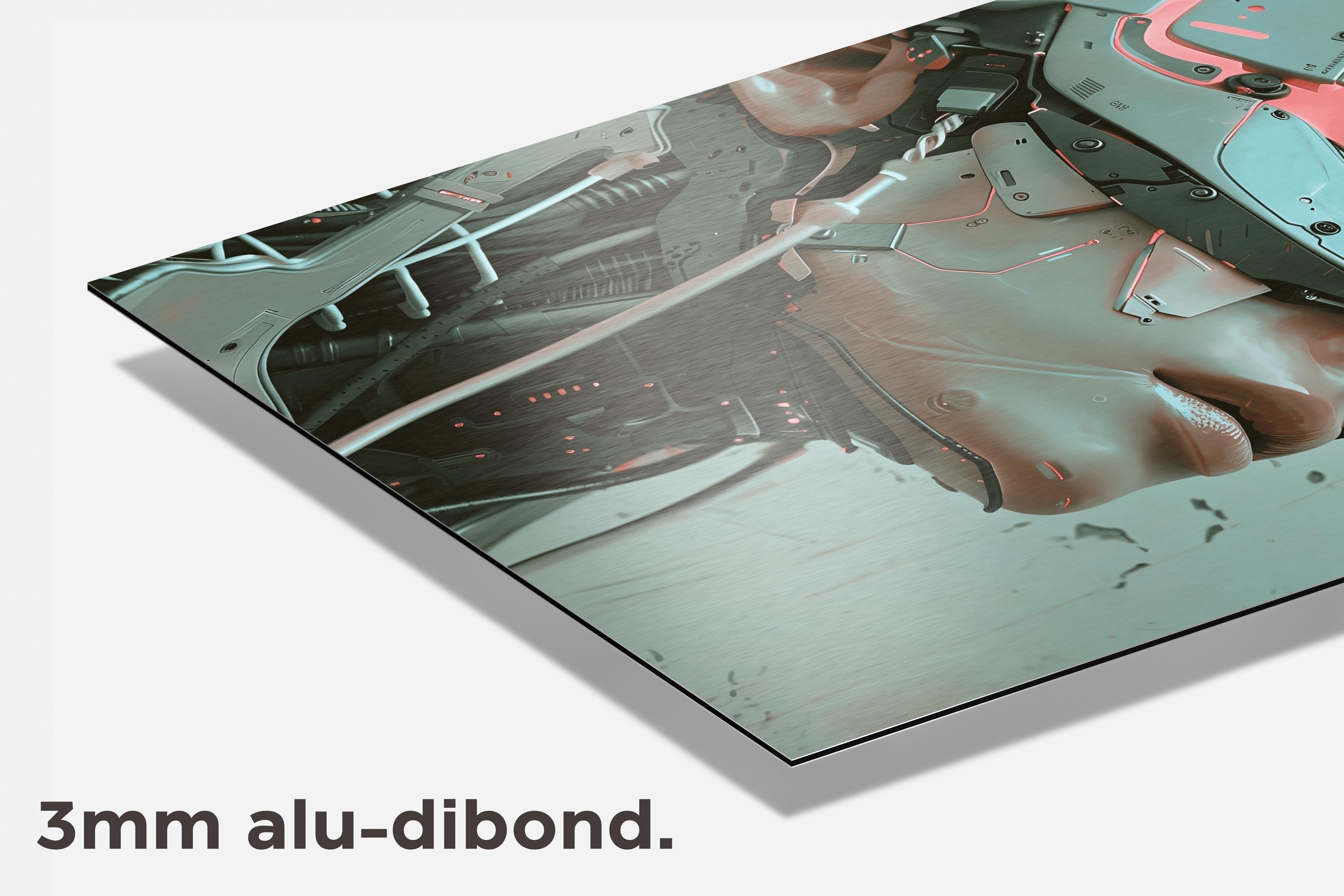Biomech Vrouw dibond detail