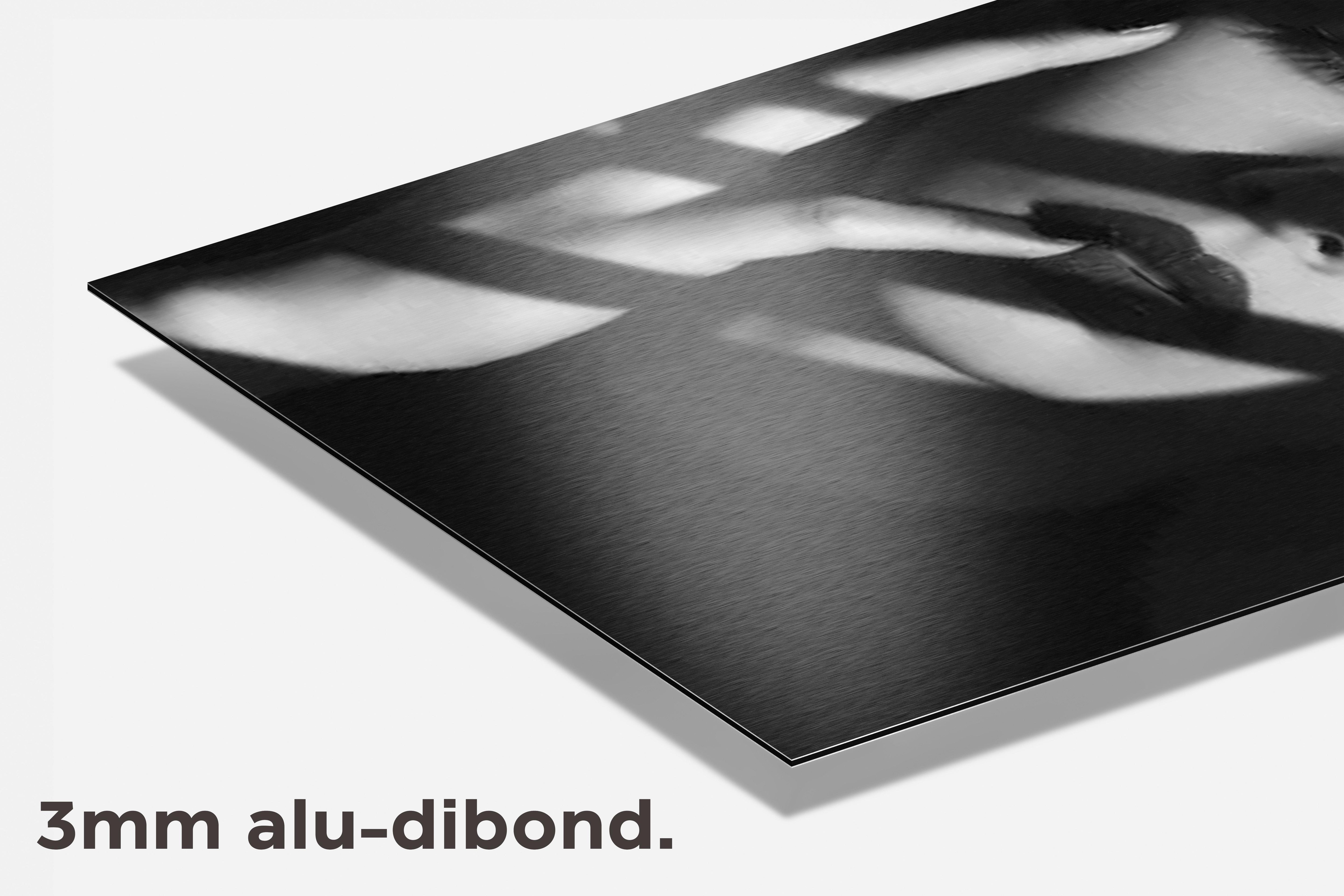 Vrouw dibond detail