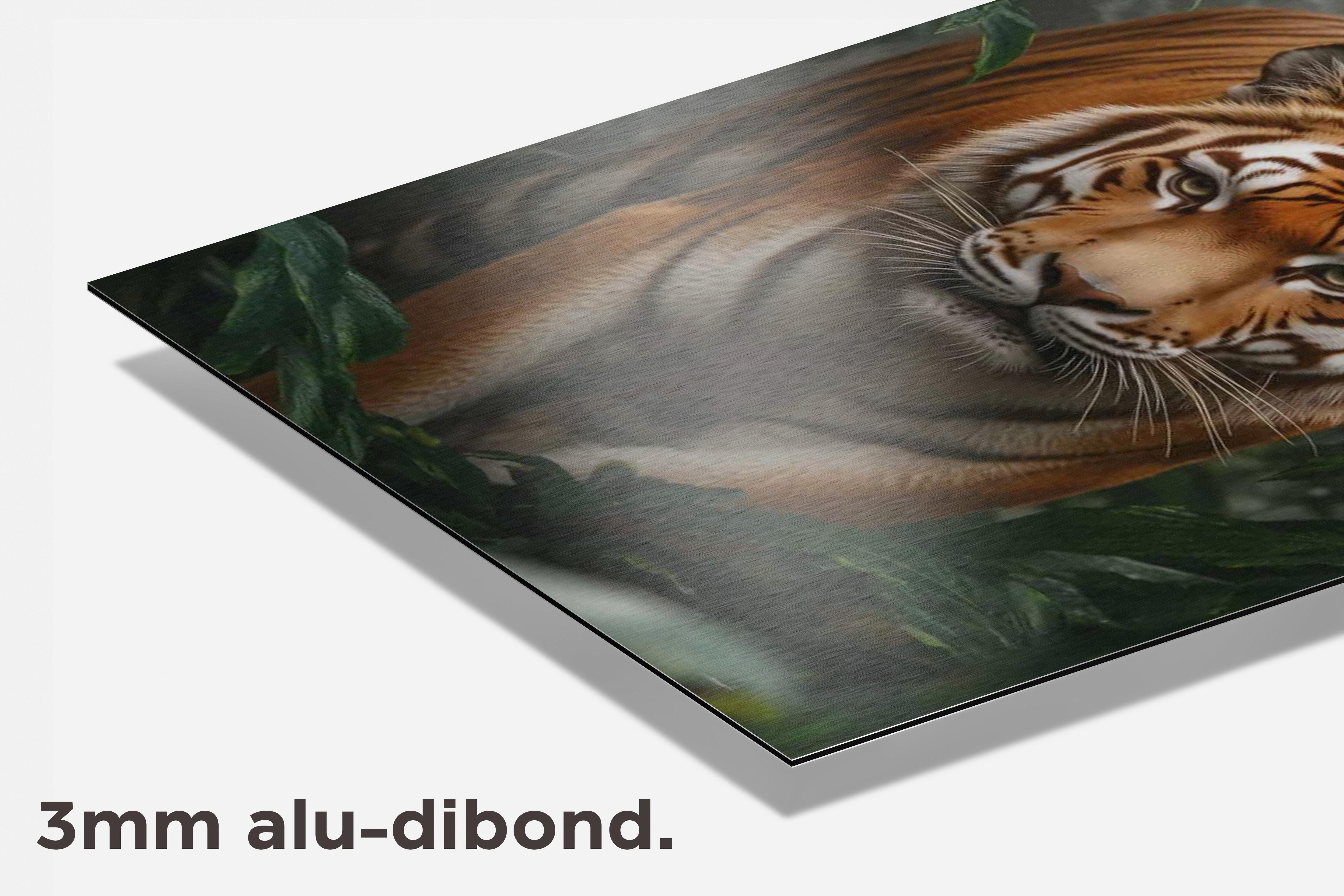 Tijger dibond detail