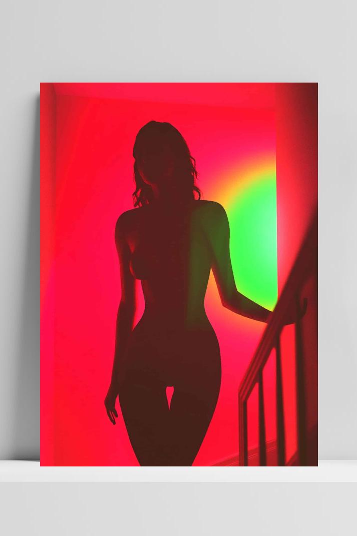 Sexy Silhouet op 3mm aluminium dibond