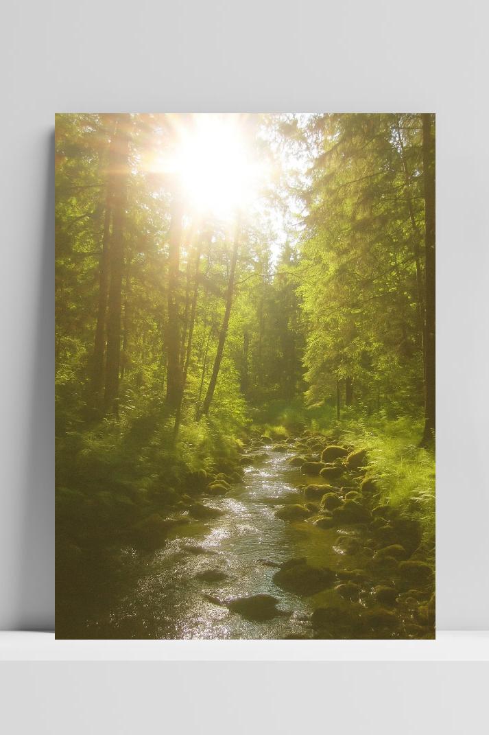 Forest Sunny op 3mm aluminium dibond
