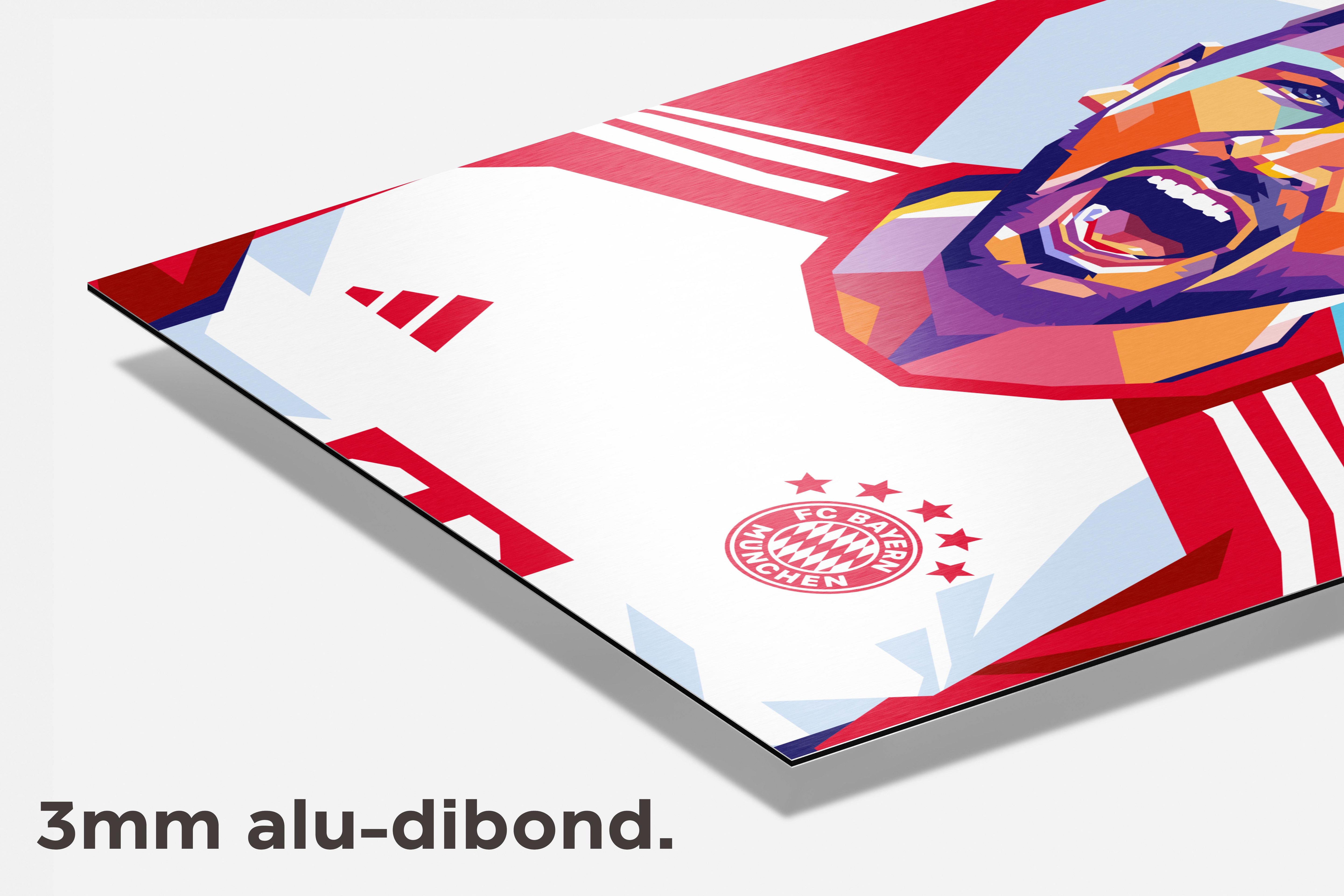 Harry Kane dibond detail