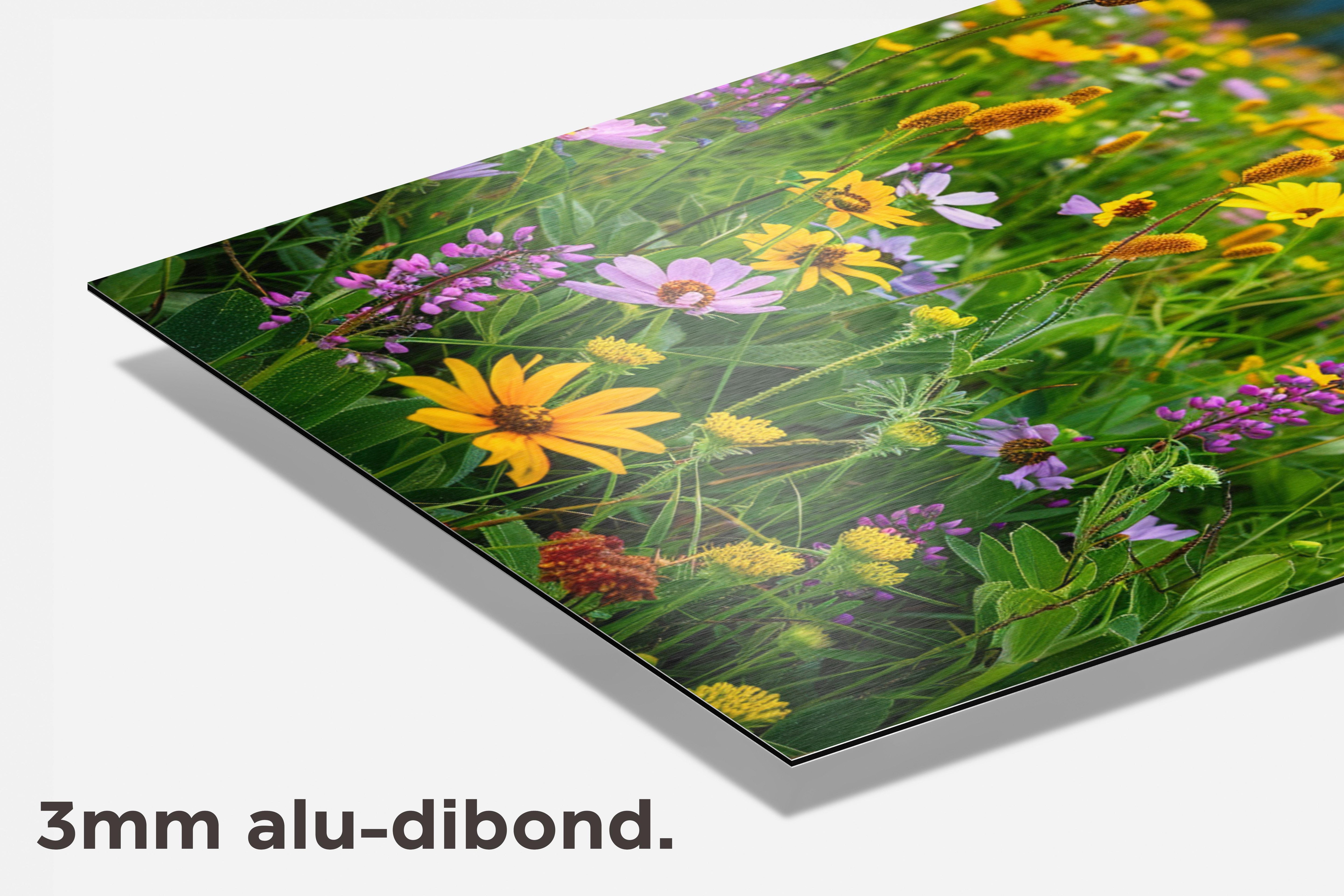 Wilderbloemenveld dibond detail