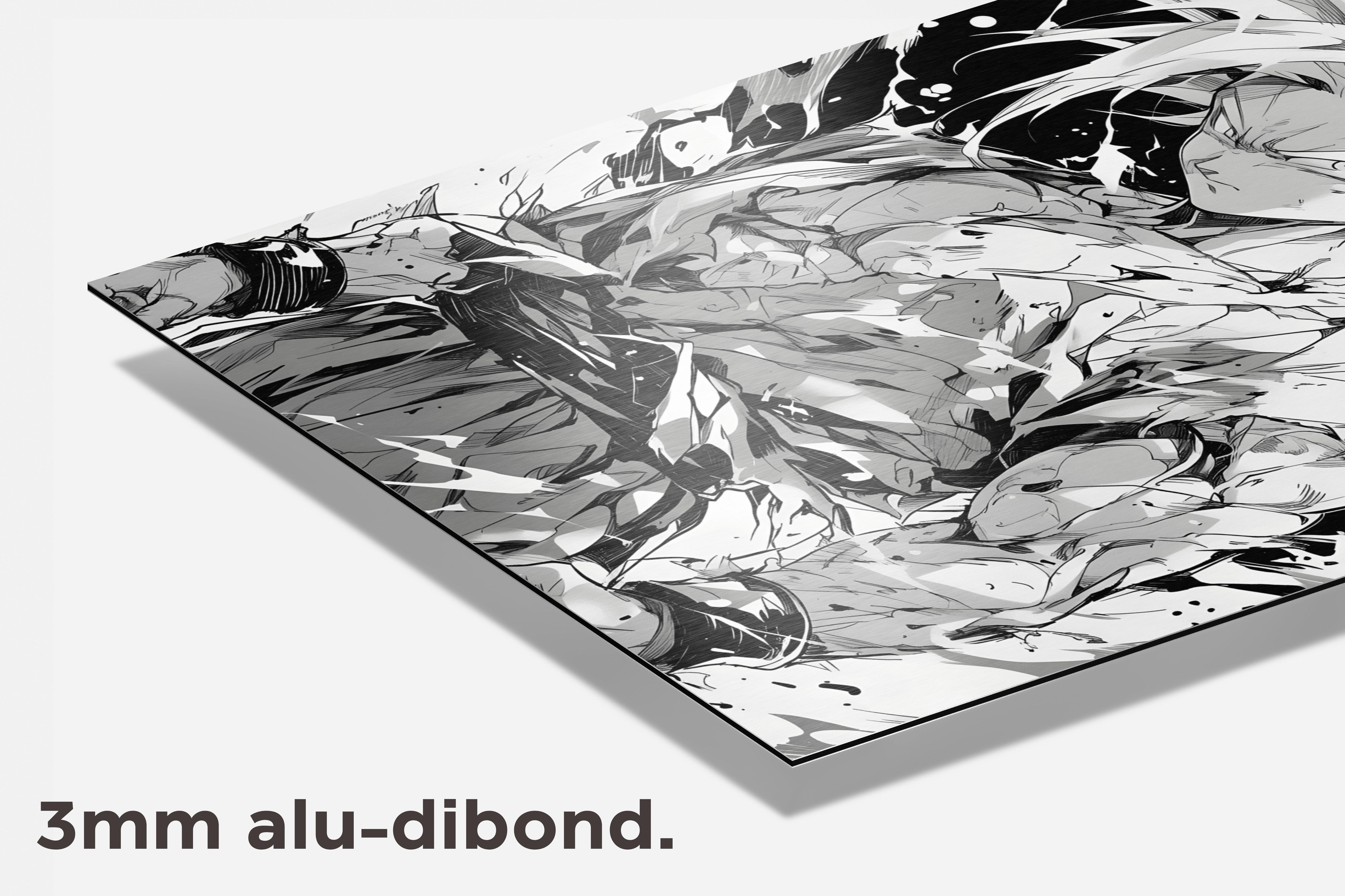 Dragonball Zwart dibond detail