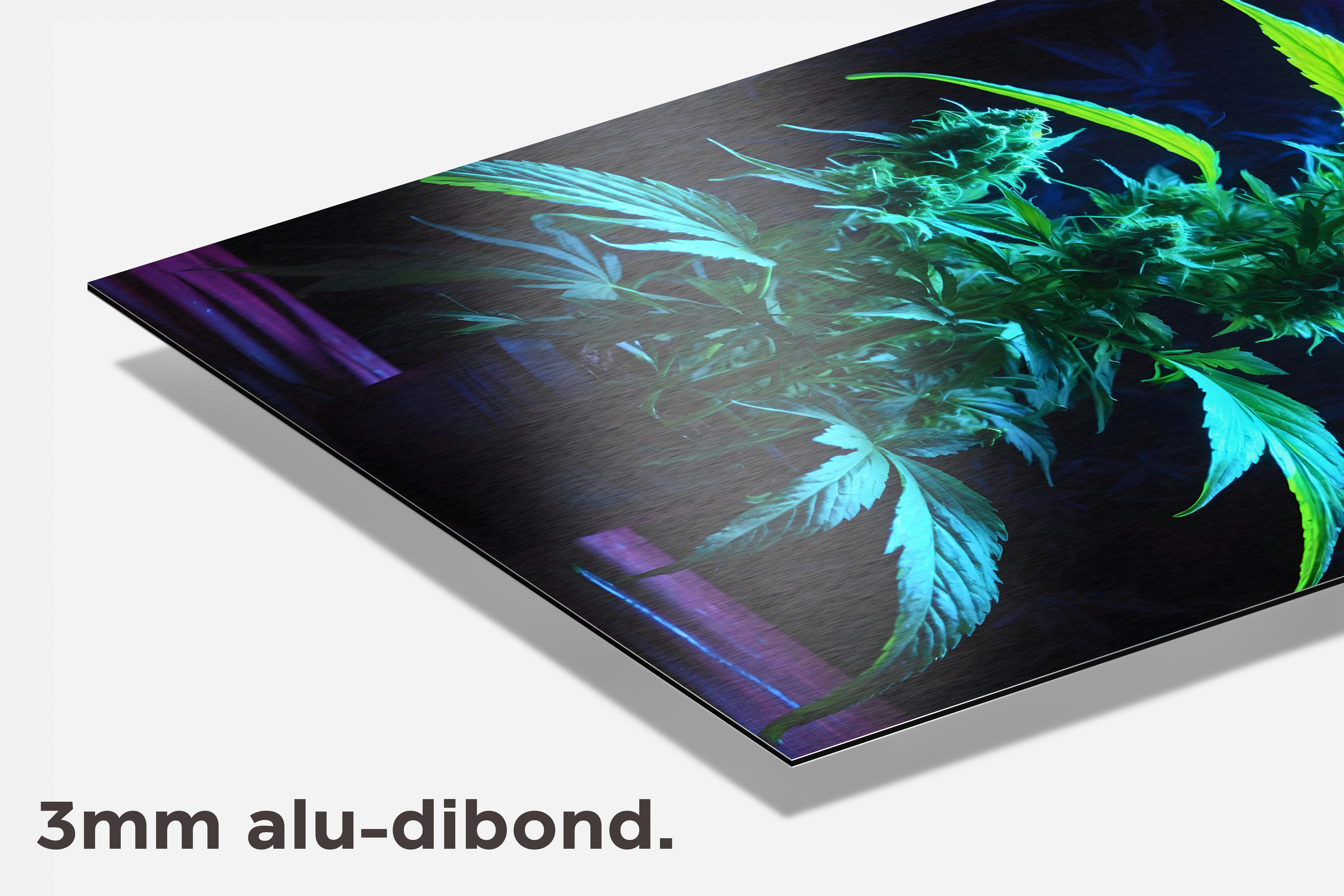 Cannabisplant dibond detail