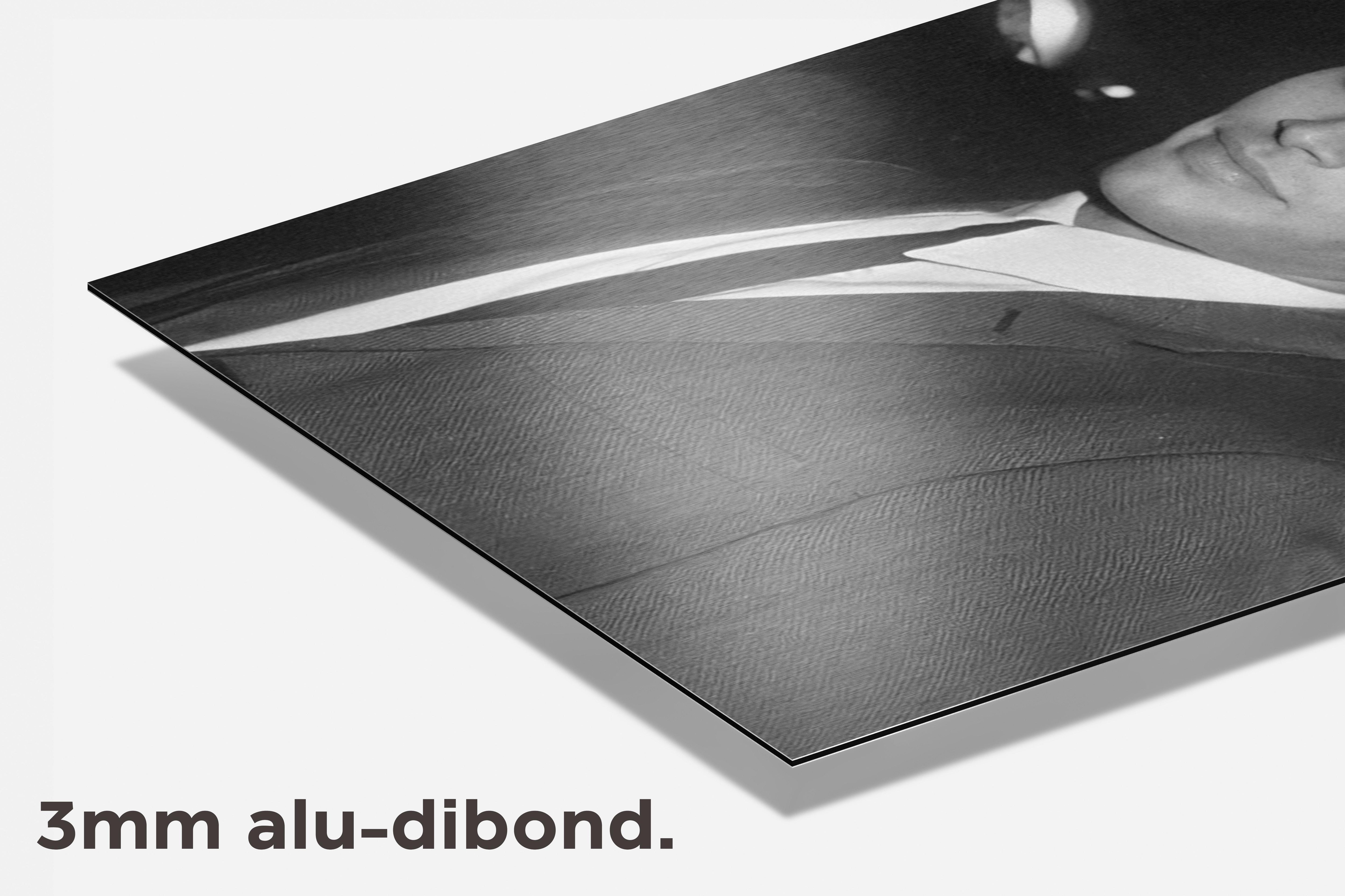 Matt LeBlanc dibond detail