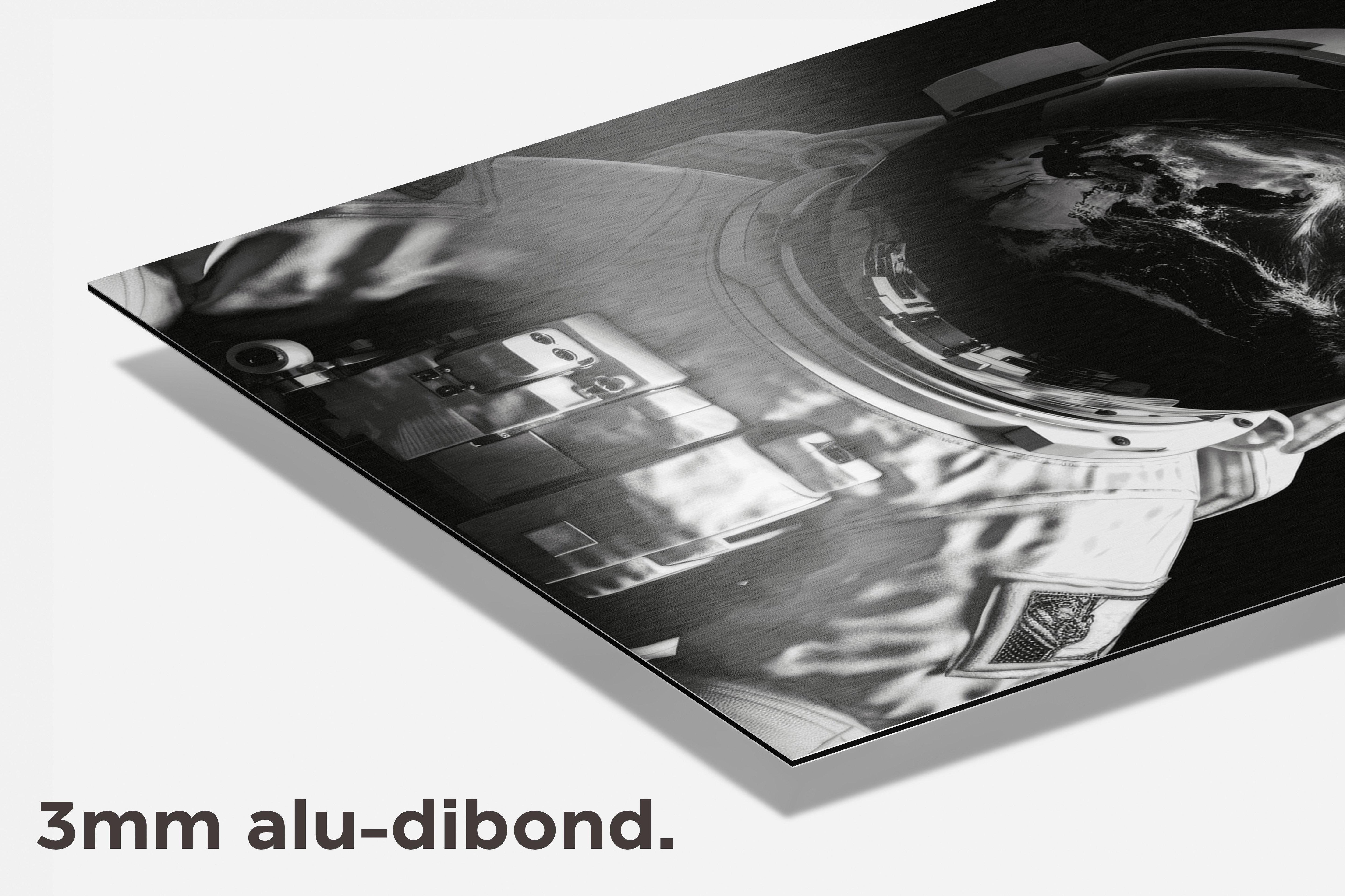 De Astronaut dibond detail