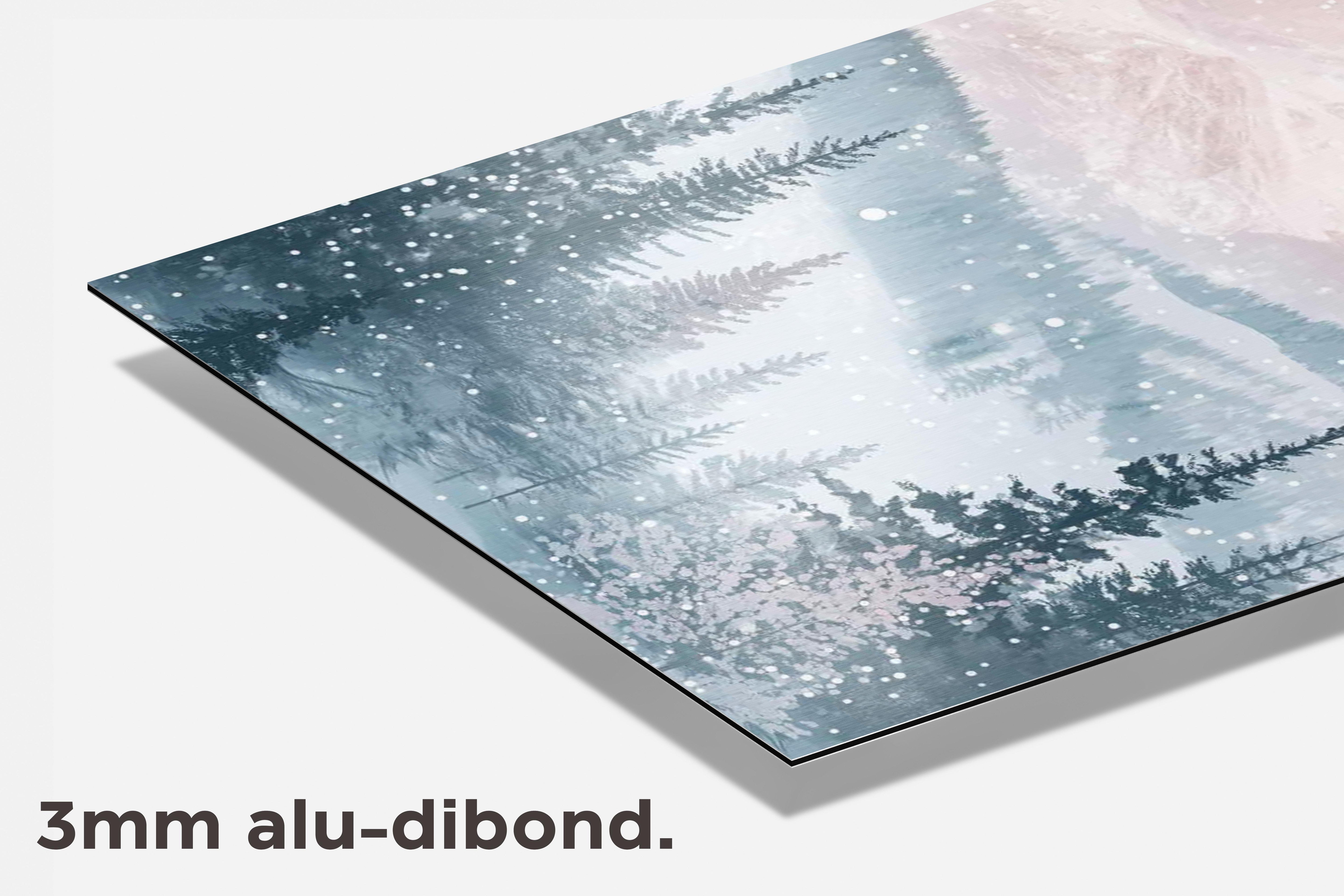 Sneeuwberg dibond detail