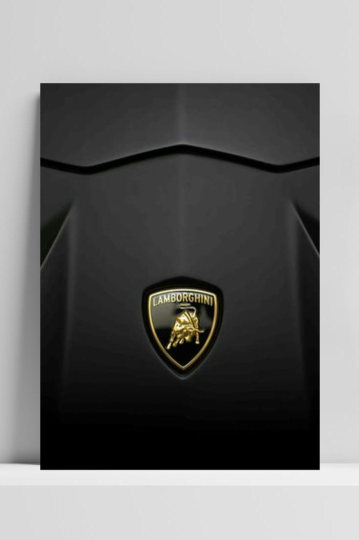Lambo Bull Black op 3mm aluminium dibond