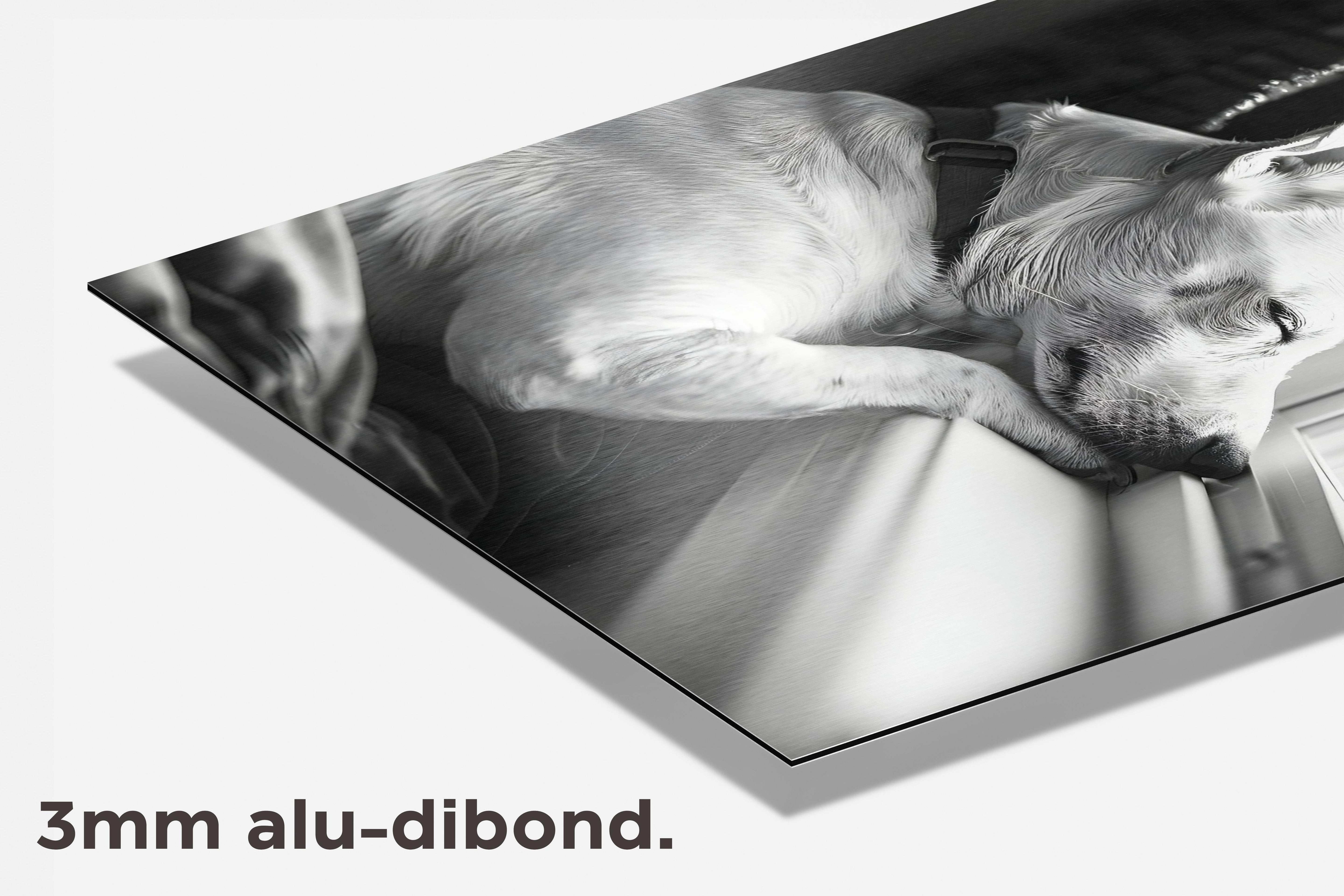 Slapende hond dibond detail