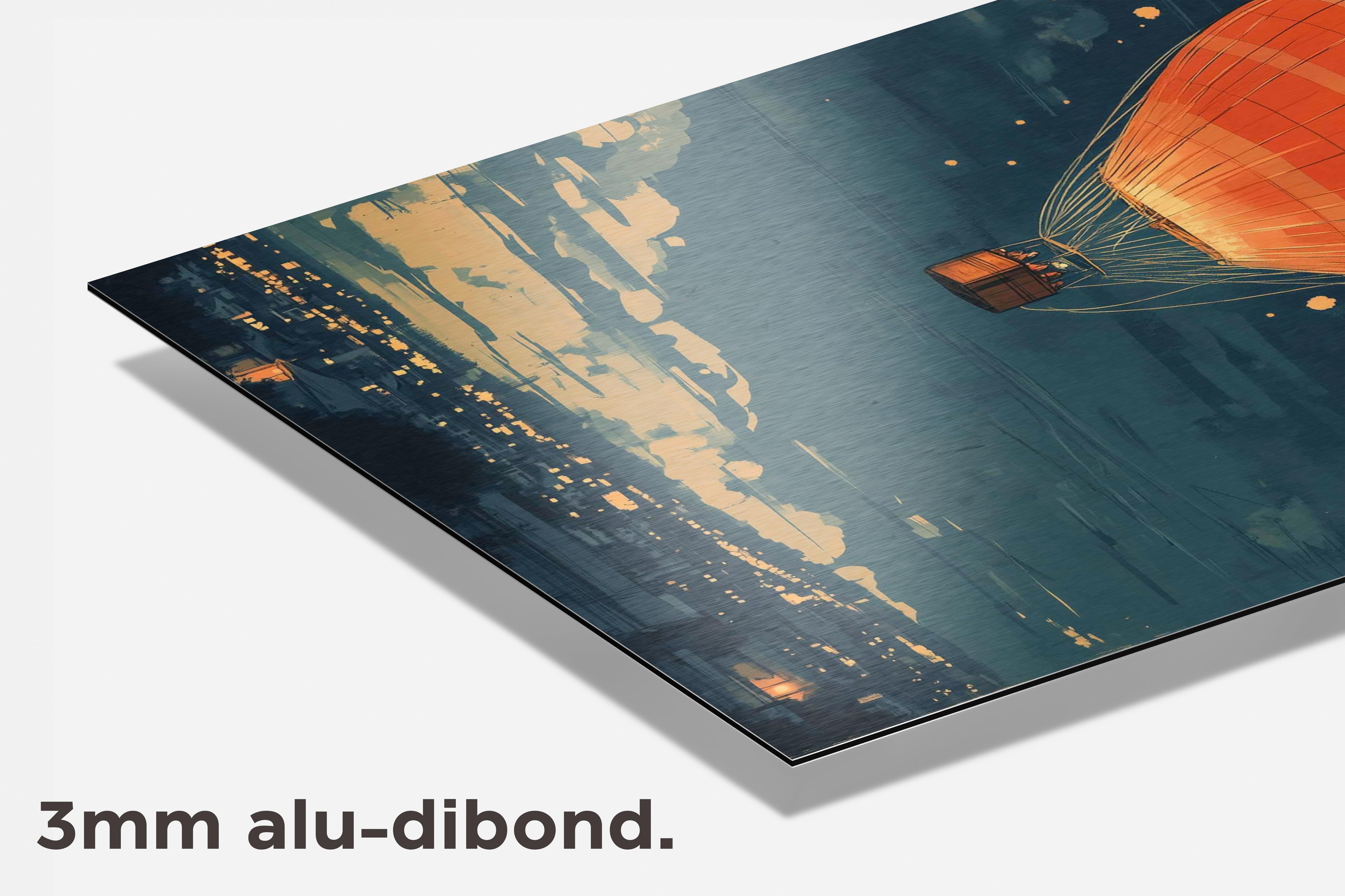 Luchtballon Tatsuro Kiuchi dibond detail