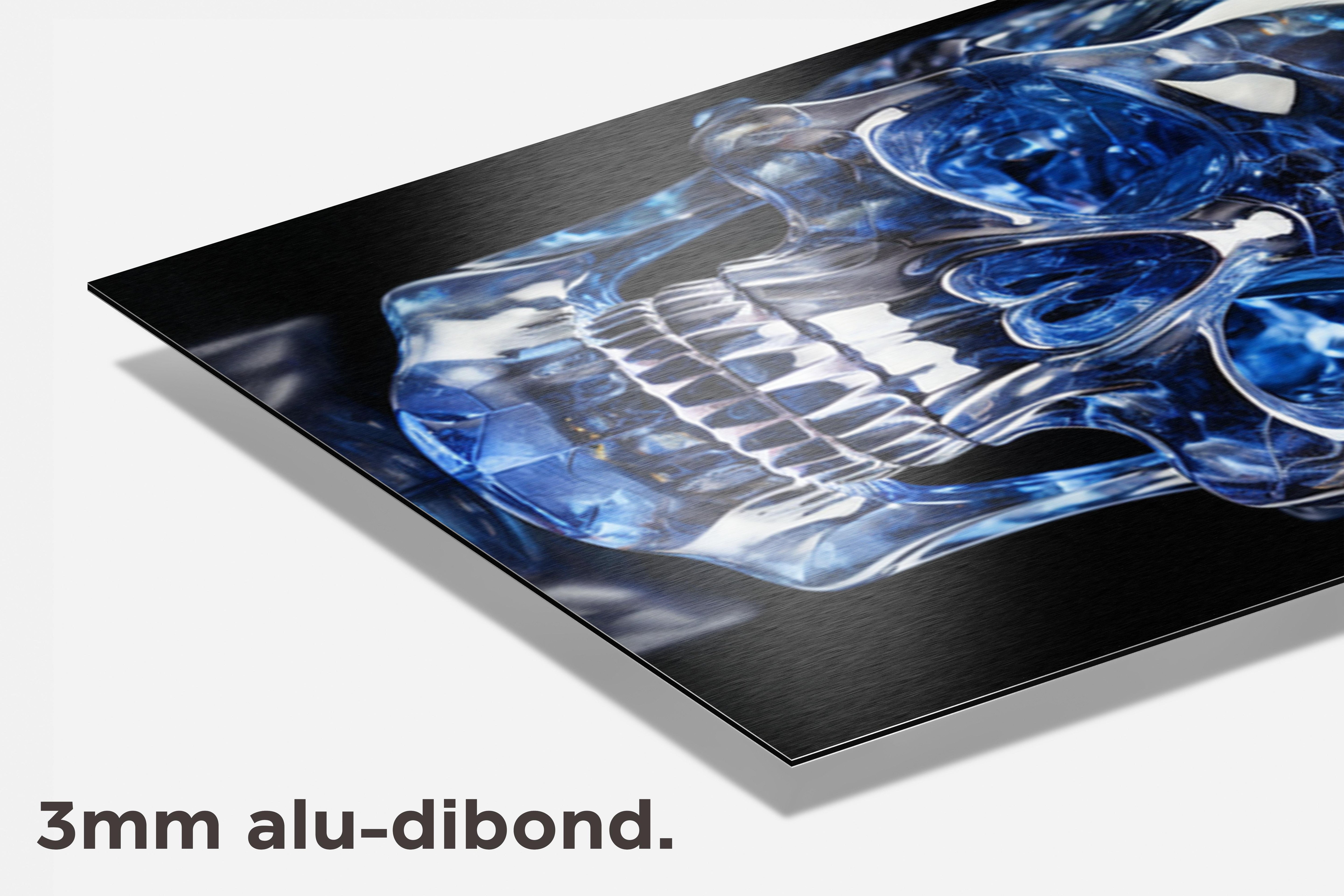 Blauw Doodshoofd dibond detail