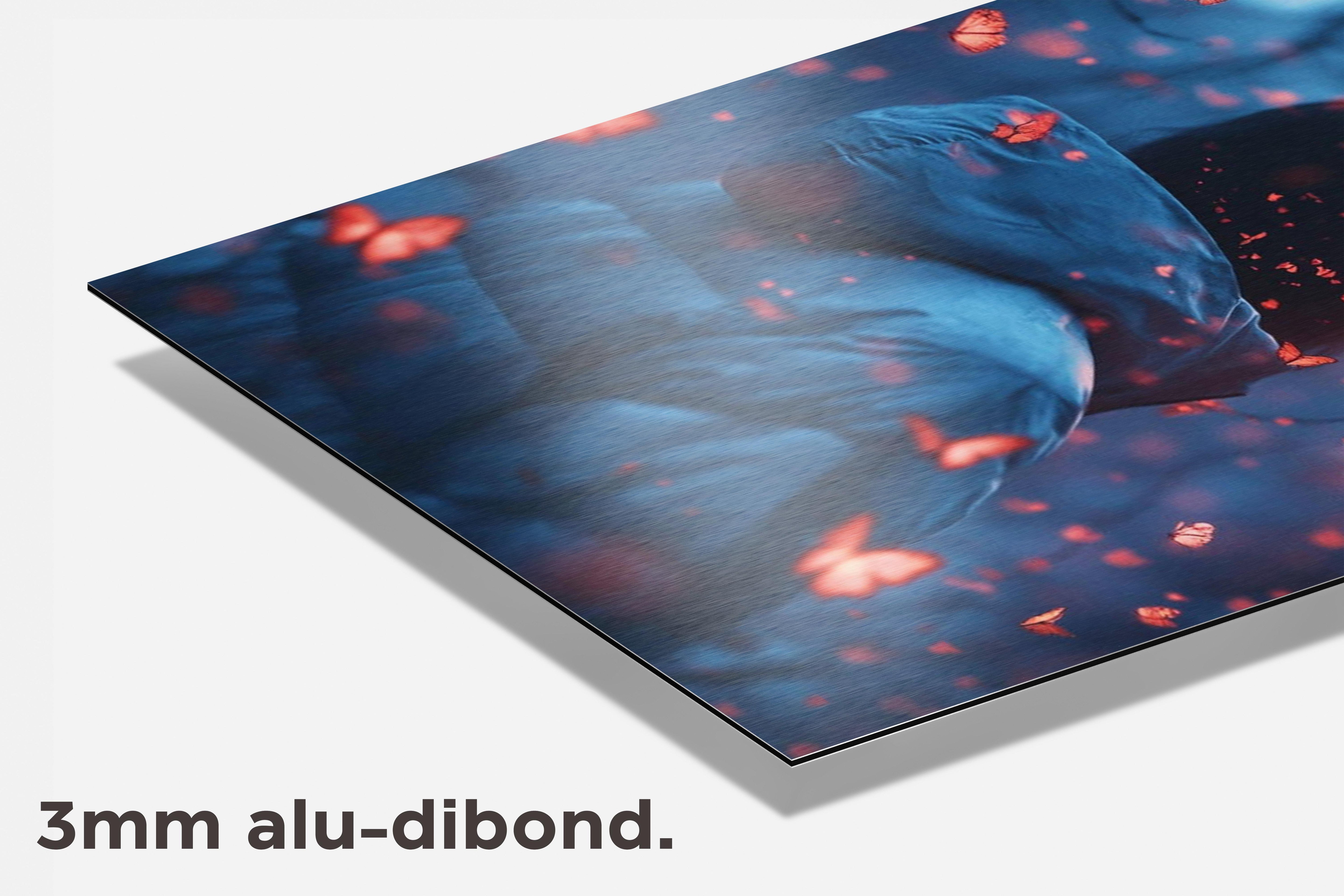 Vlindermeisje dibond detail