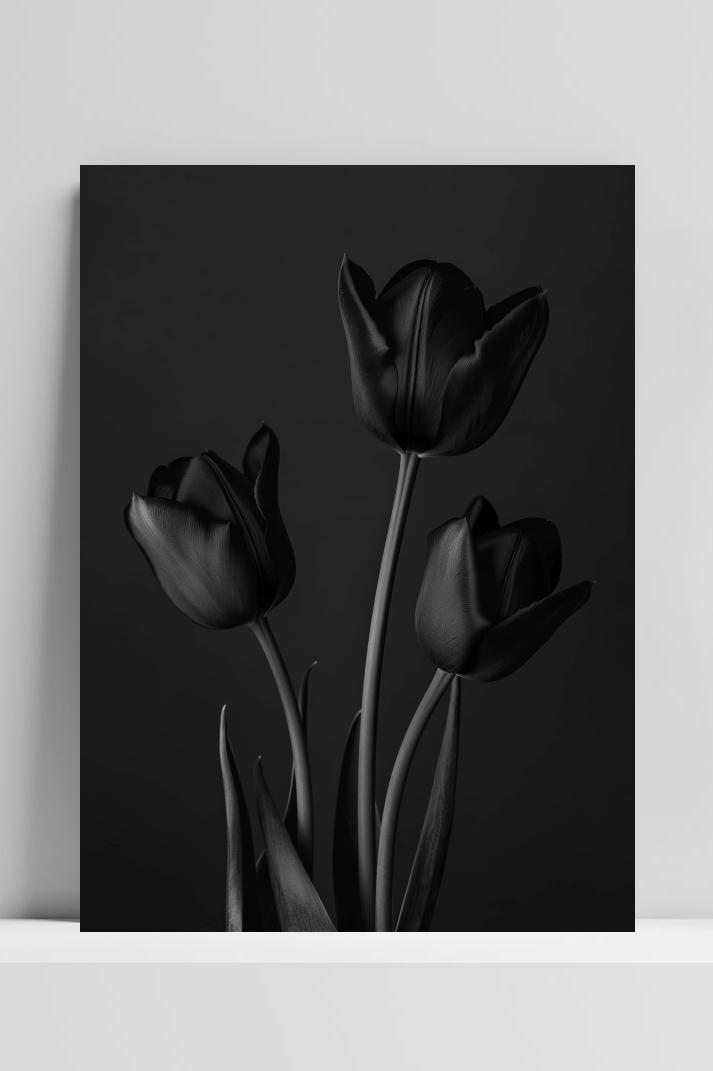 Tulpen Zwart Wit op 3mm aluminium dibond