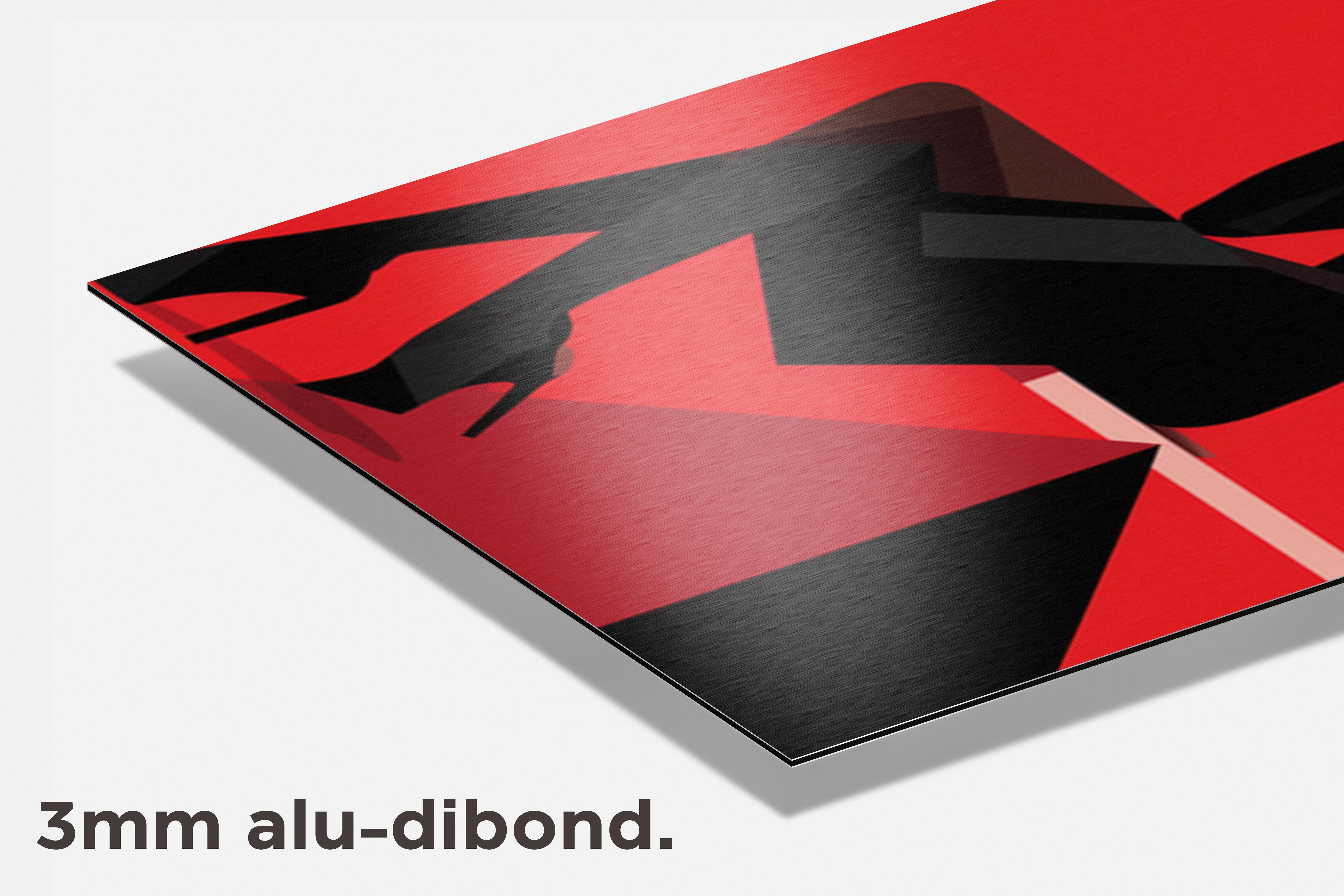 Vrouw Pop dibond detail