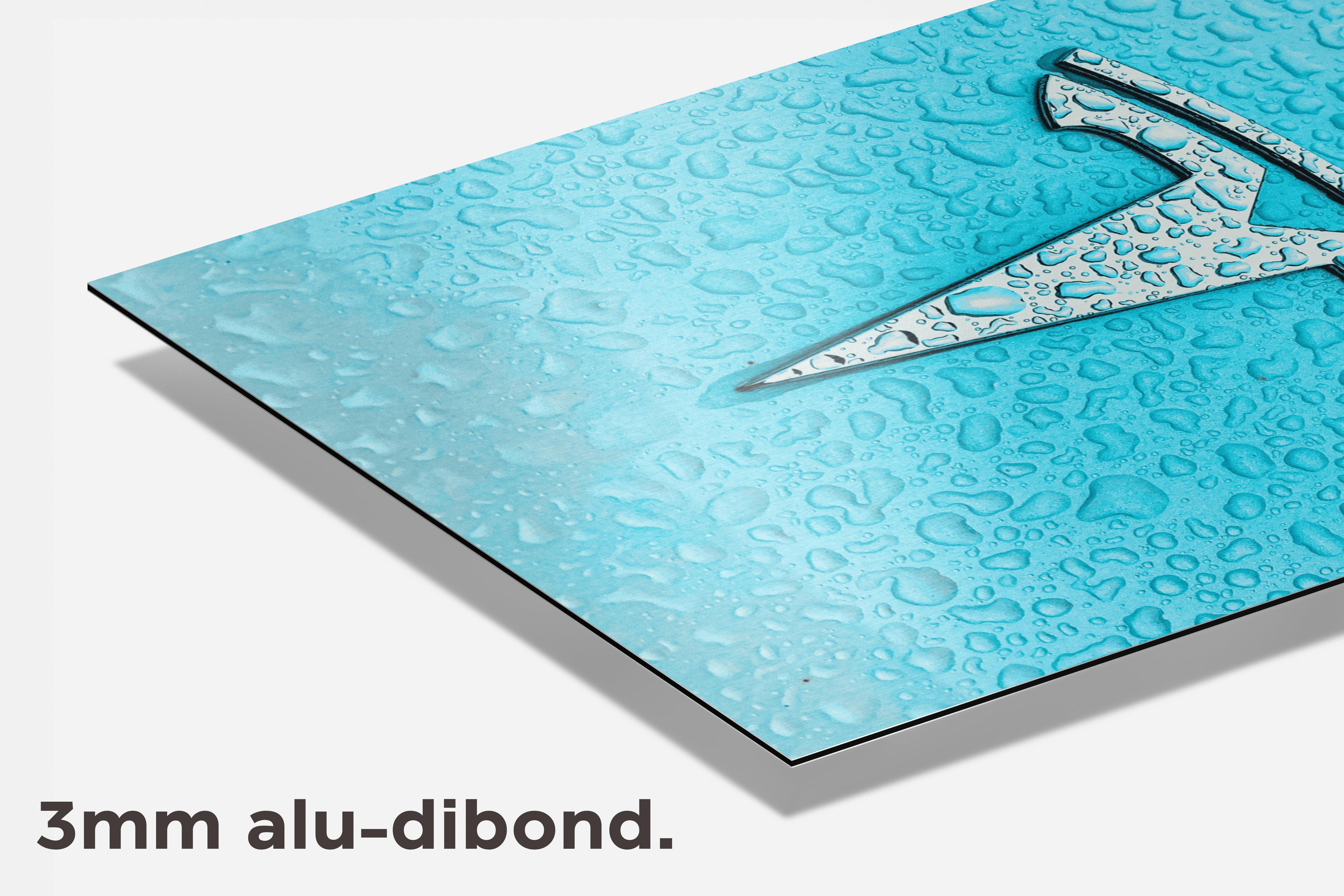 Tesla Logo dibond detail