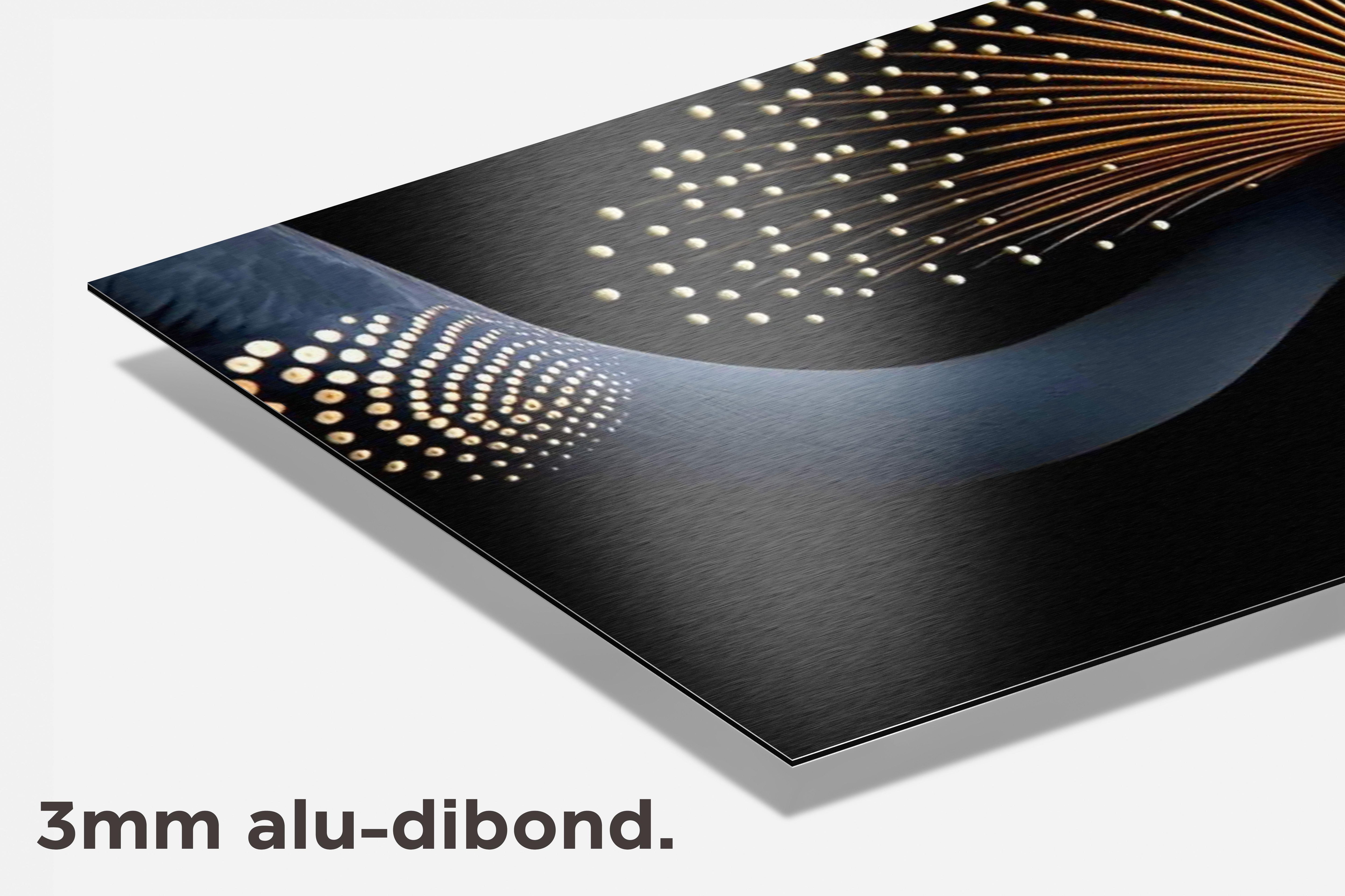 Kroonkraanvogel dibond detail