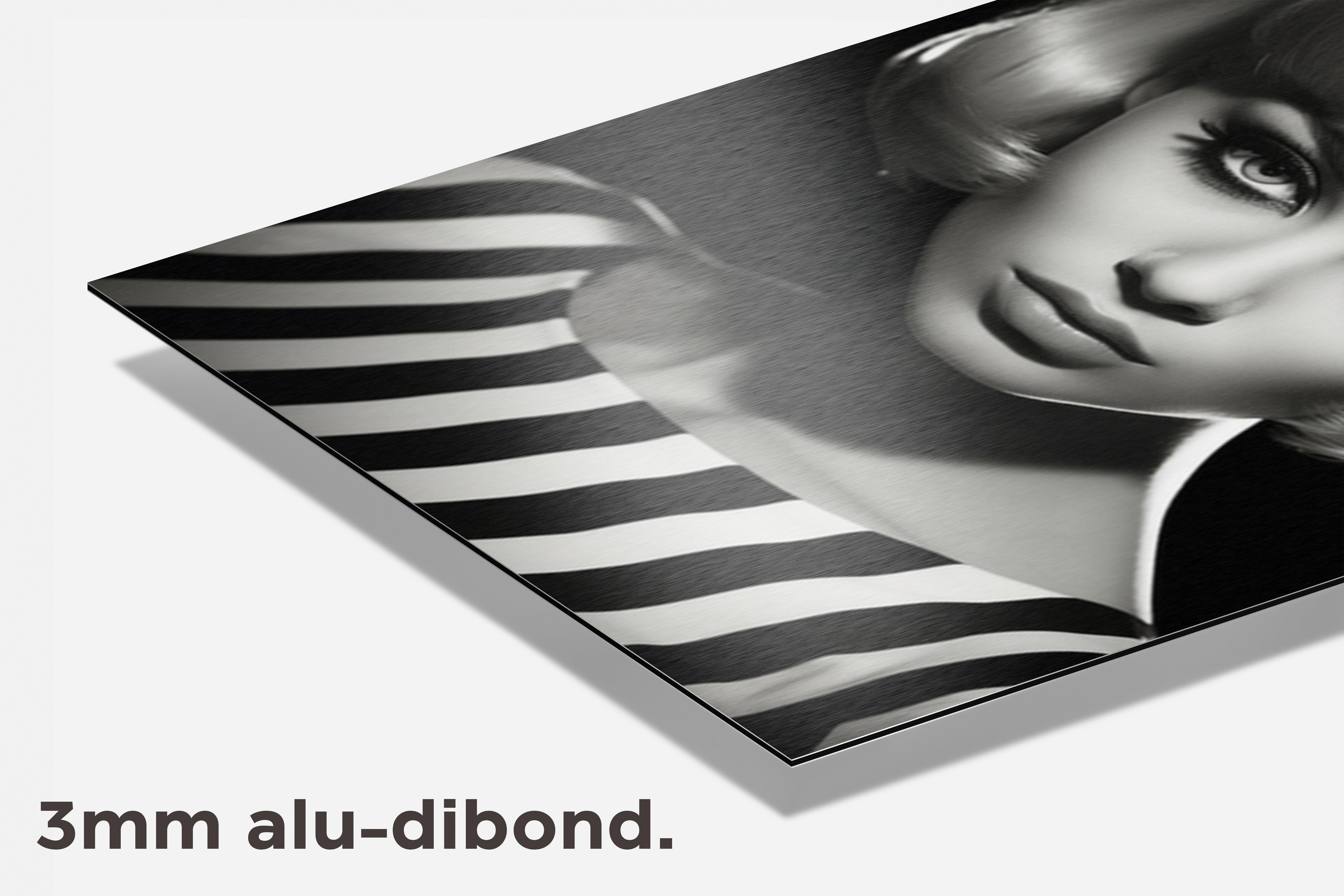 Gestreepte Vrouw dibond detail