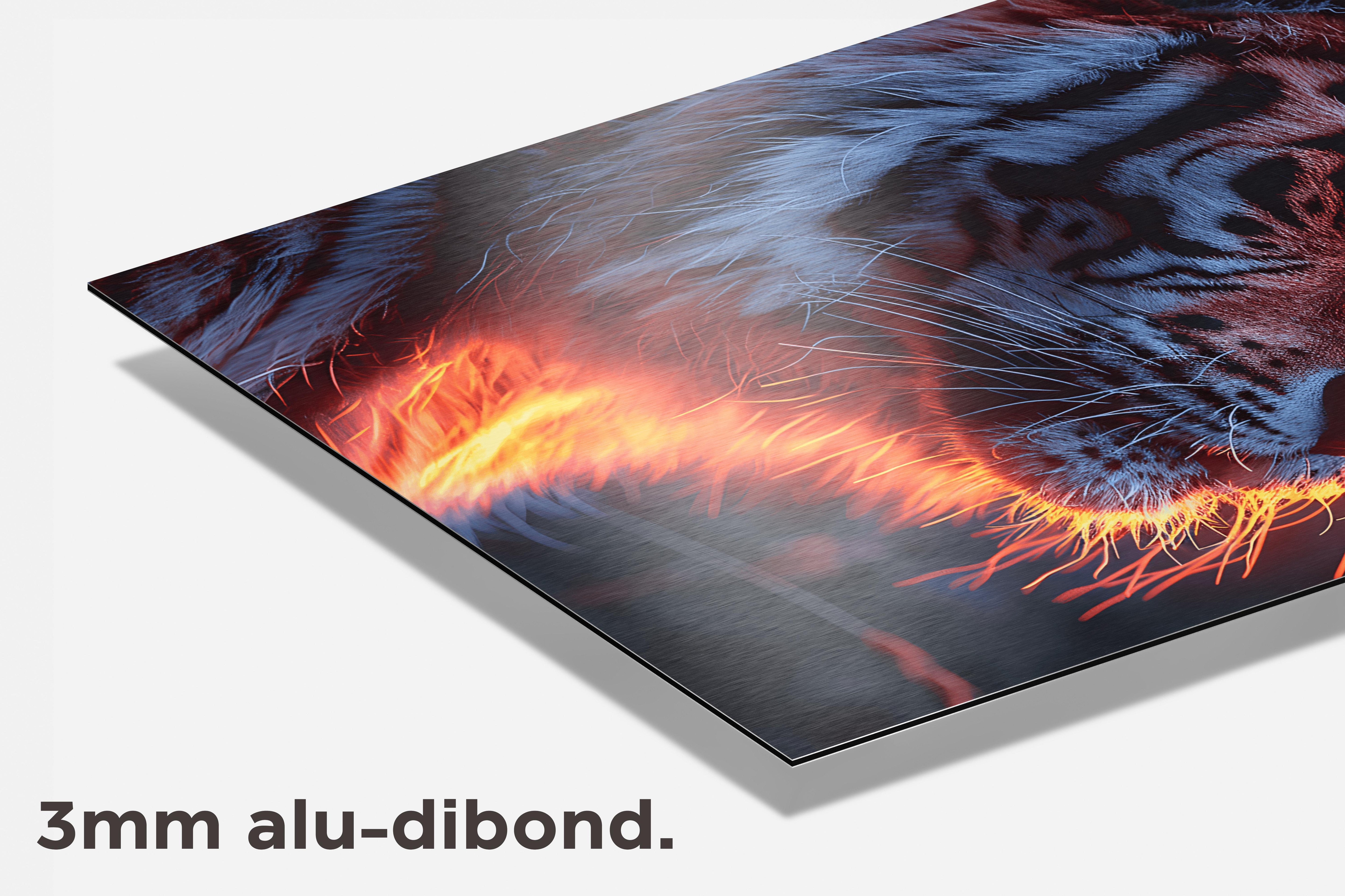 Tijger dibond detail