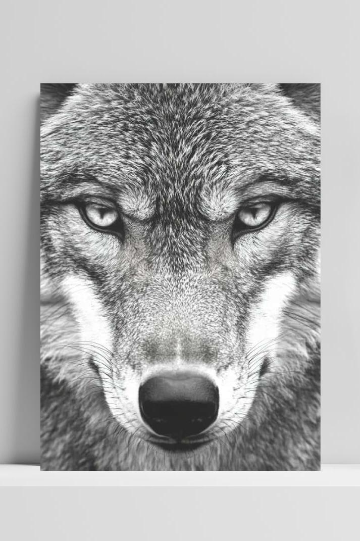 Wolf B&W op 3mm aluminium dibond