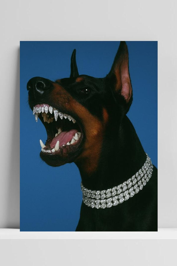 Doberman Diamonds Necklace Collar Grillz poster