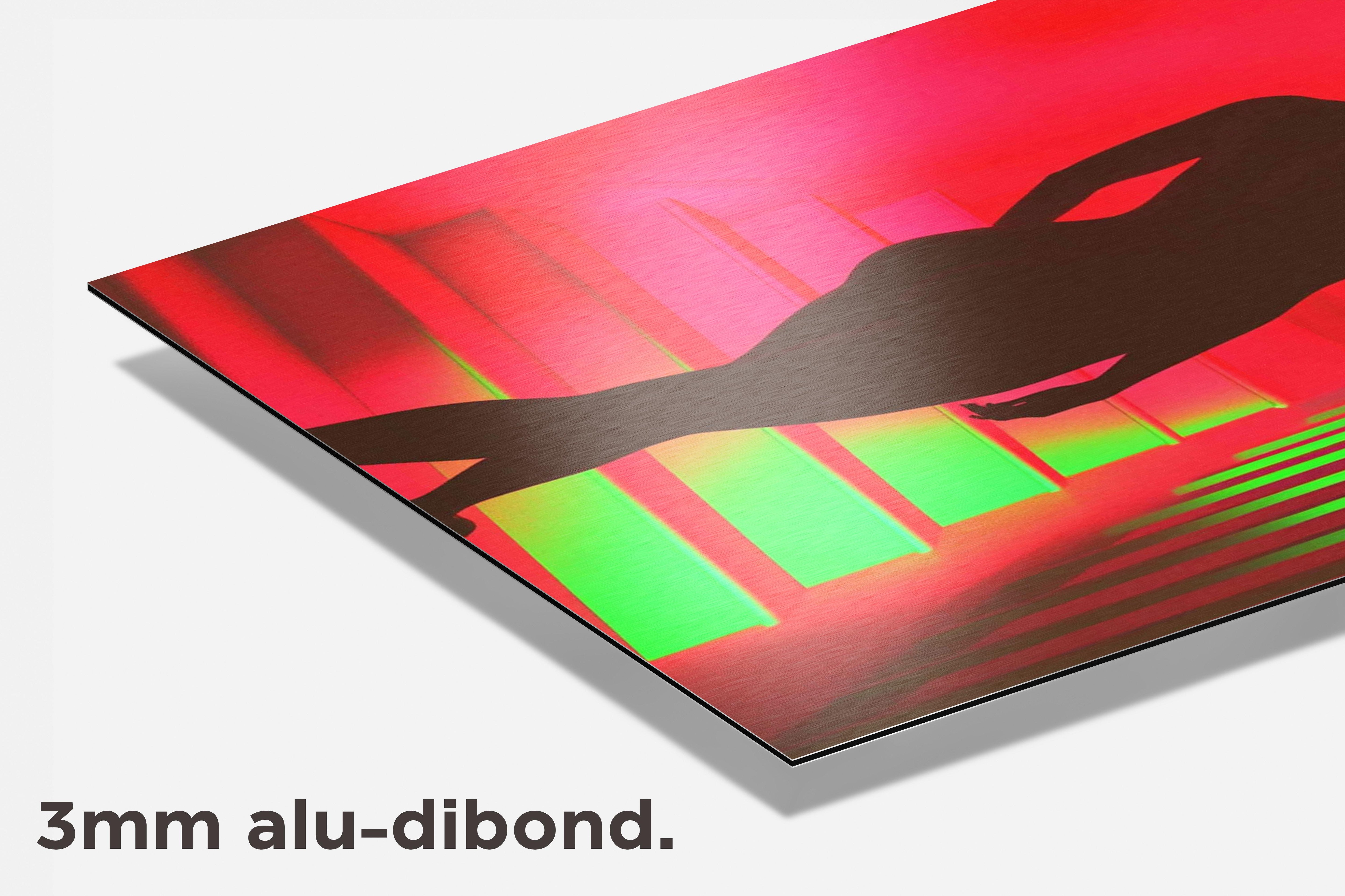 Vrouw Silhouet dibond detail