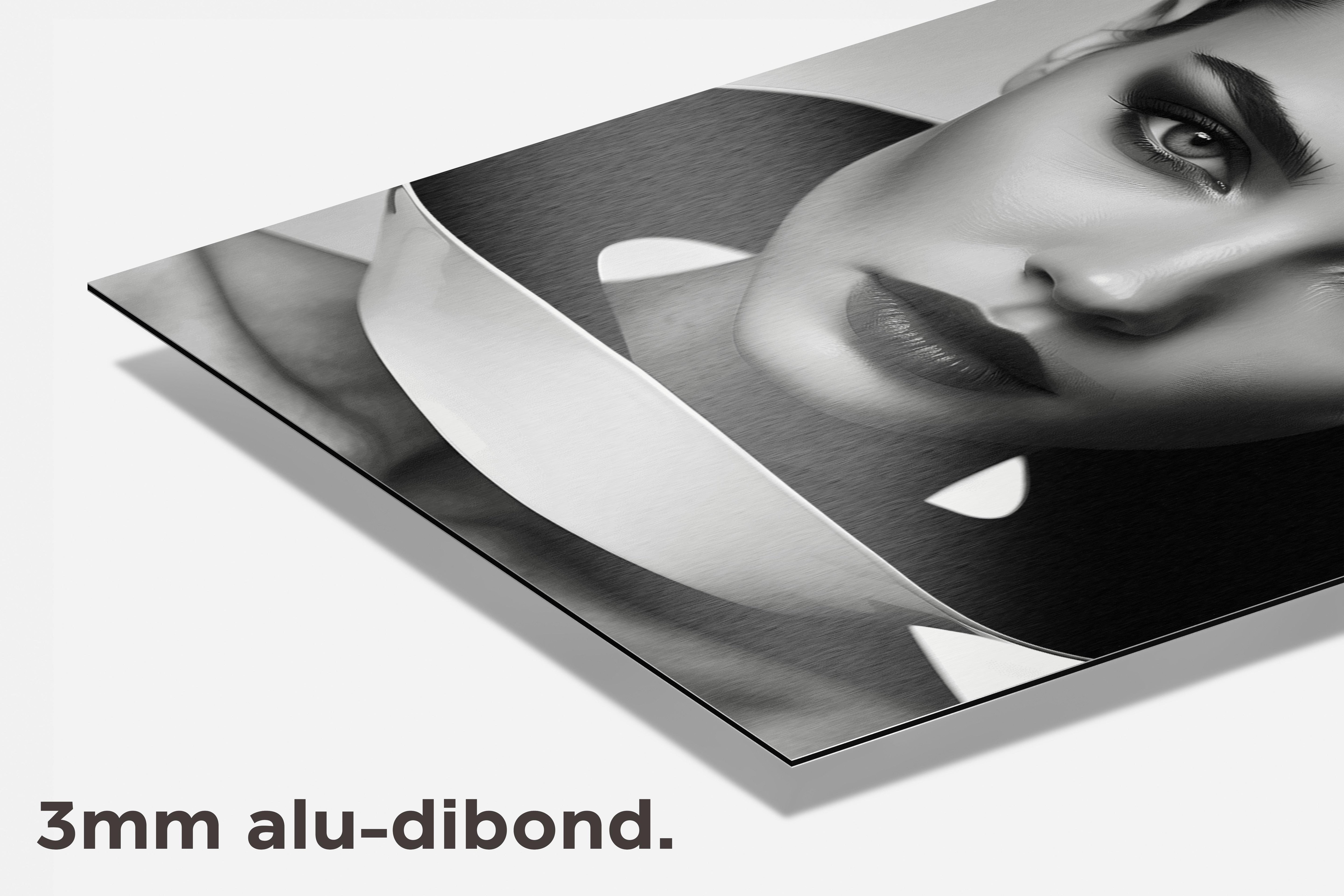Vrouw Model Zwart Wit dibond detail