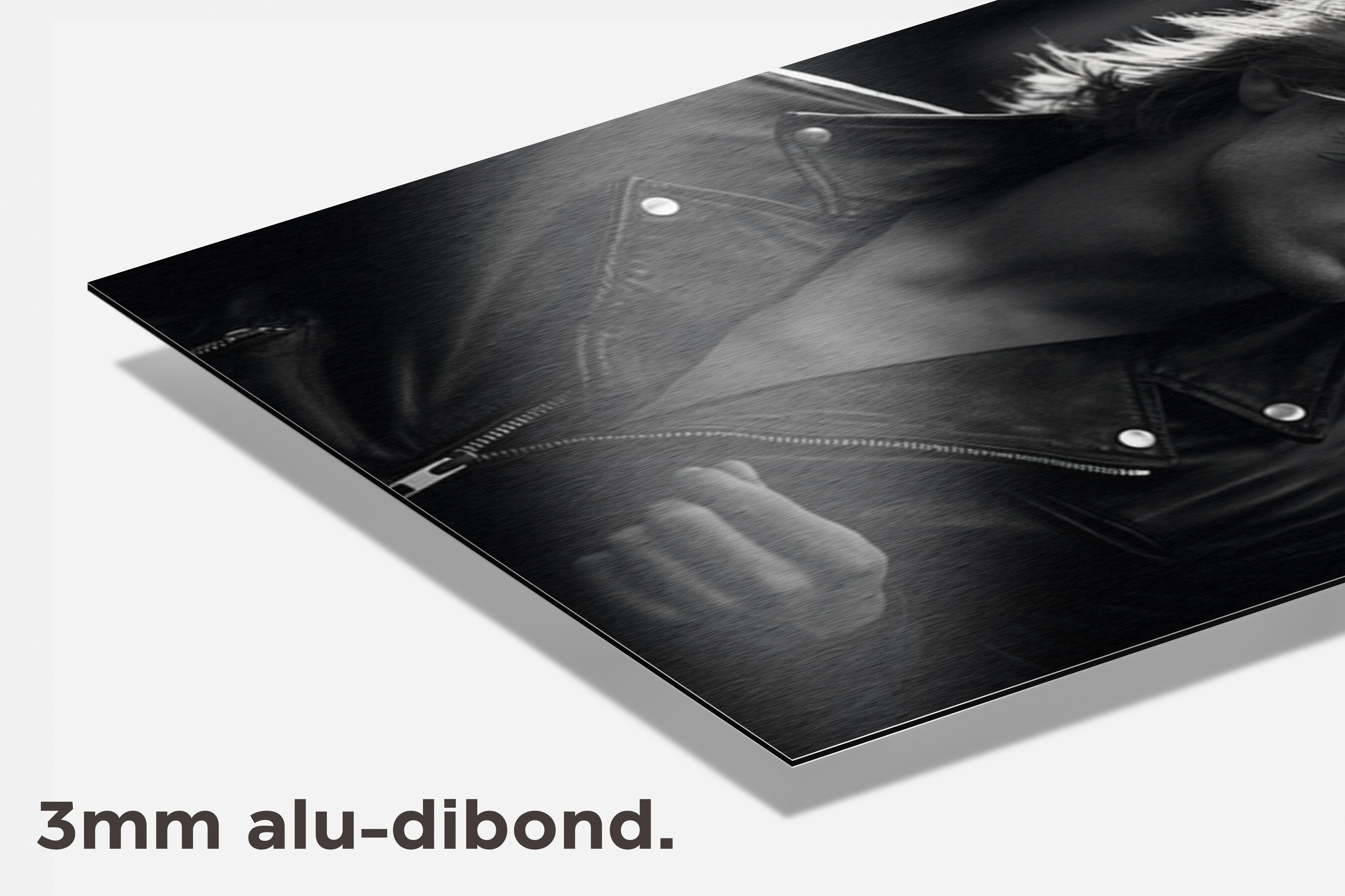 Roker Zwart Wit dibond detail