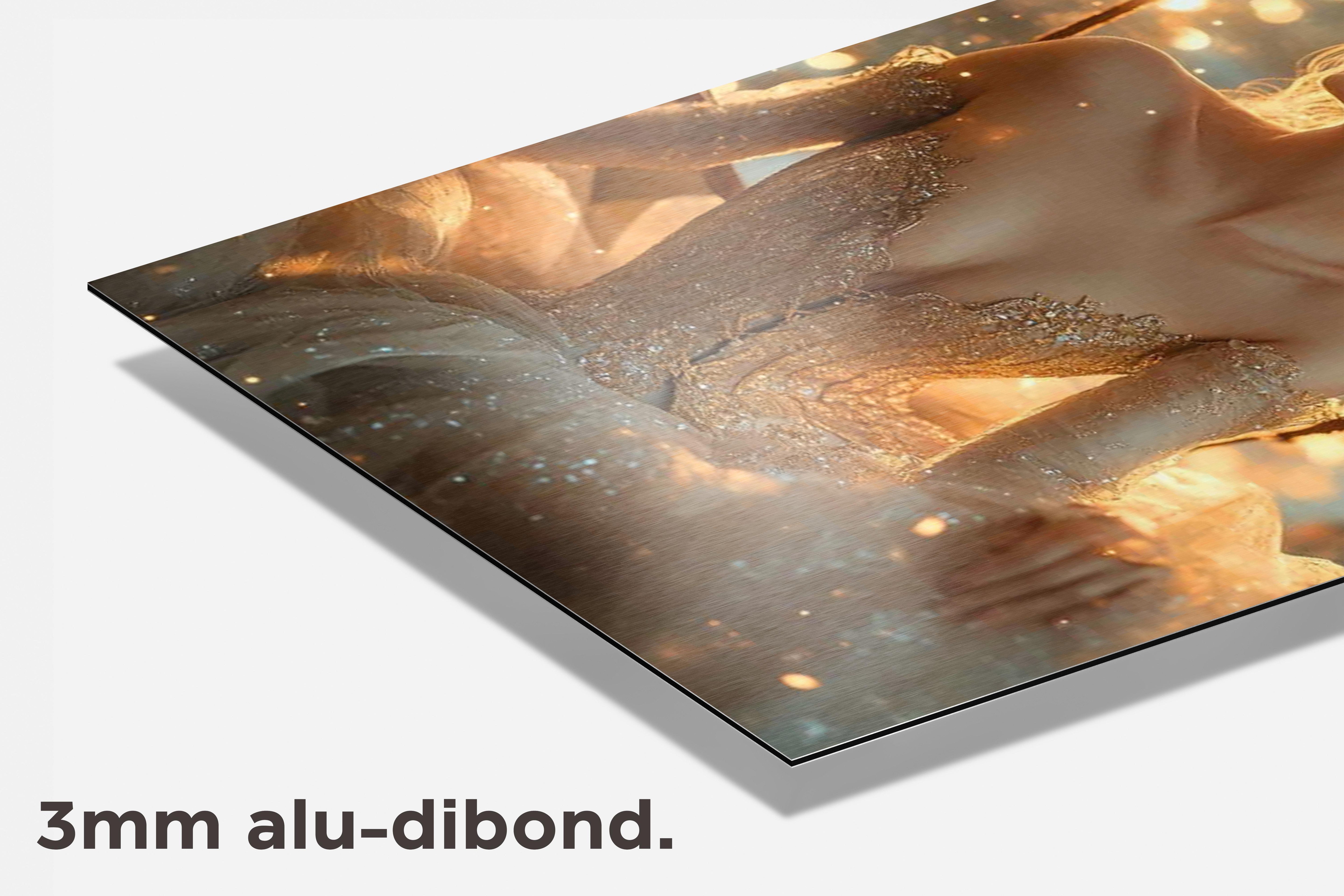 Magische Prinses dibond detail