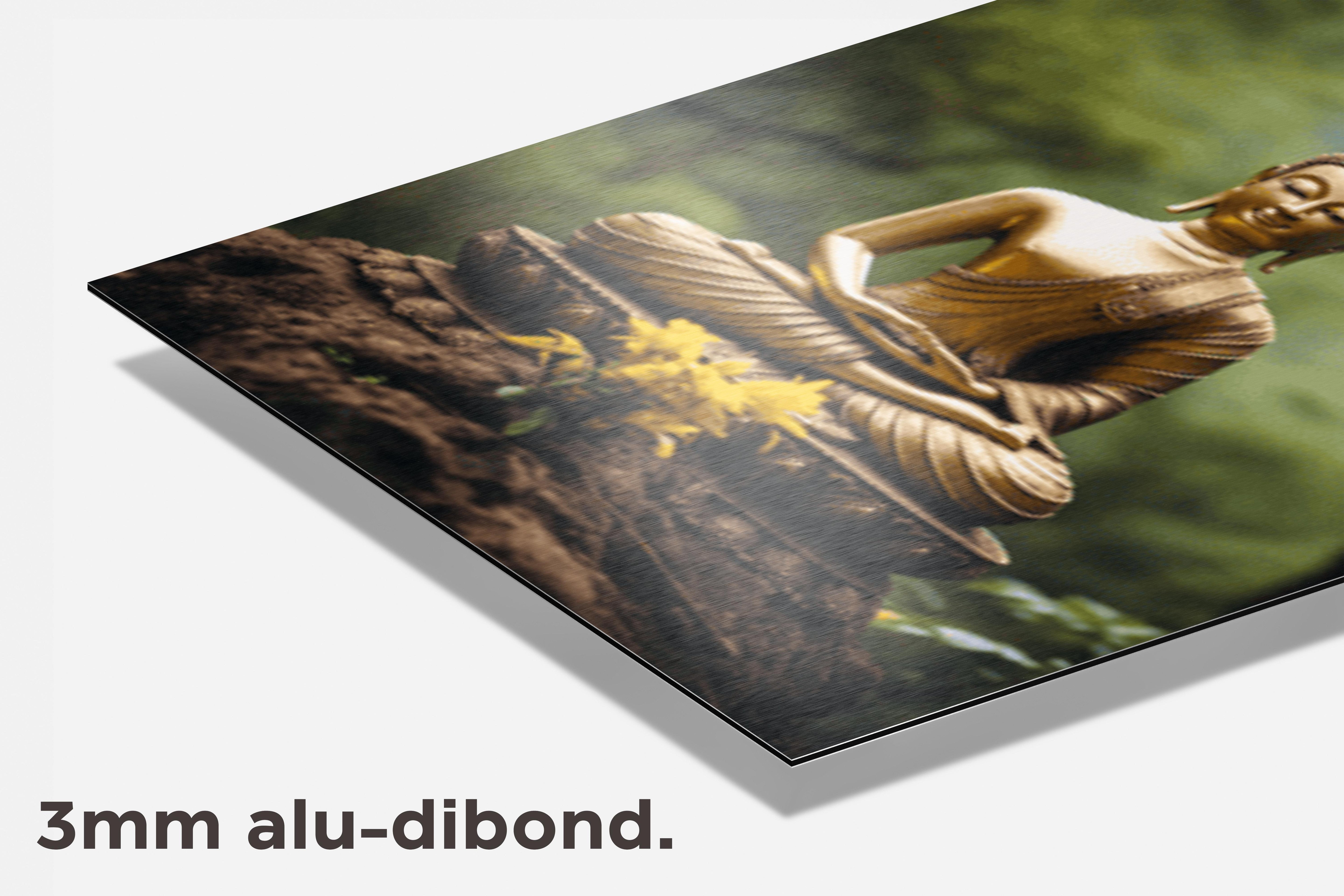 Buddah Beeld dibond detail