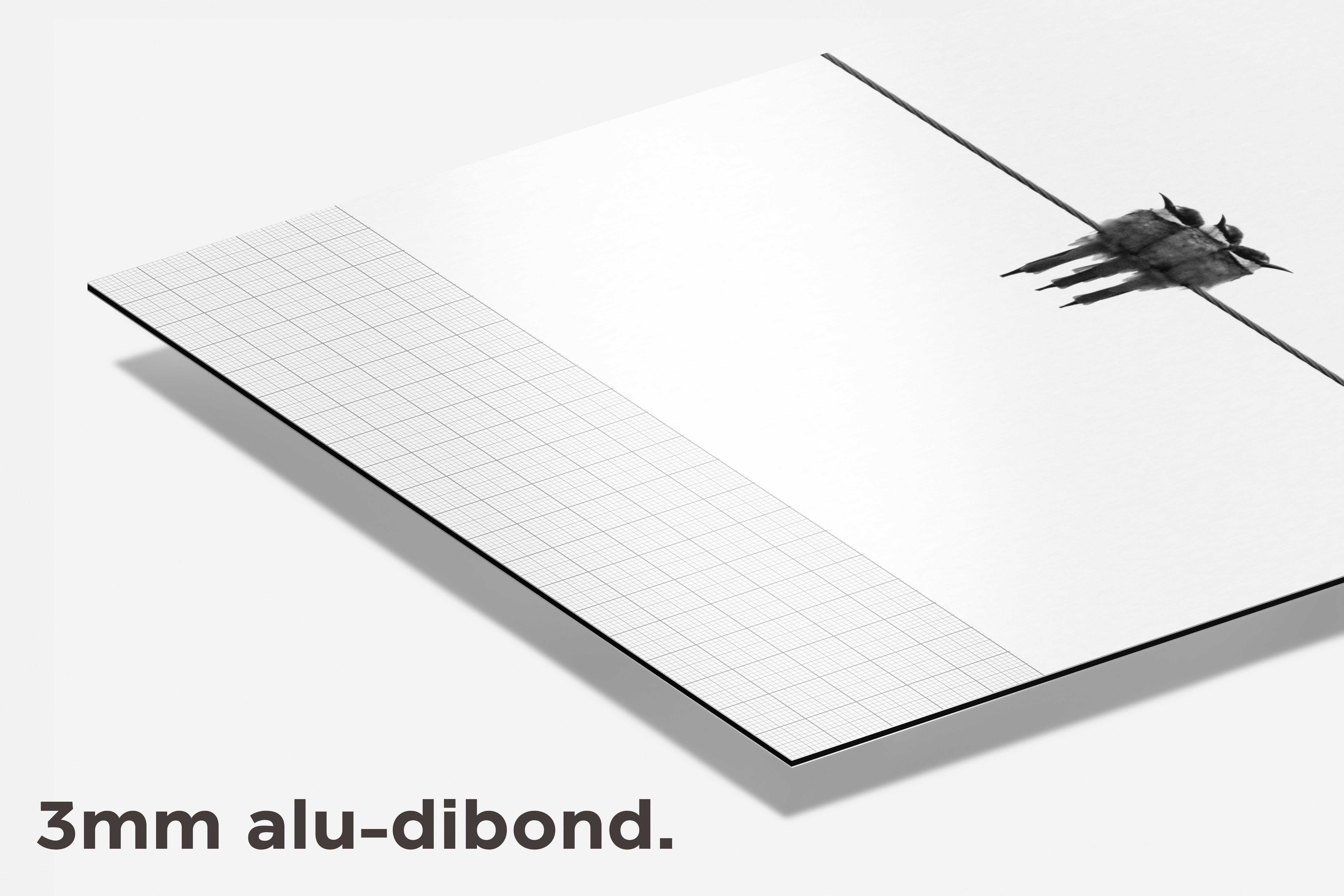 Vogels Zwart Wit dibond detail