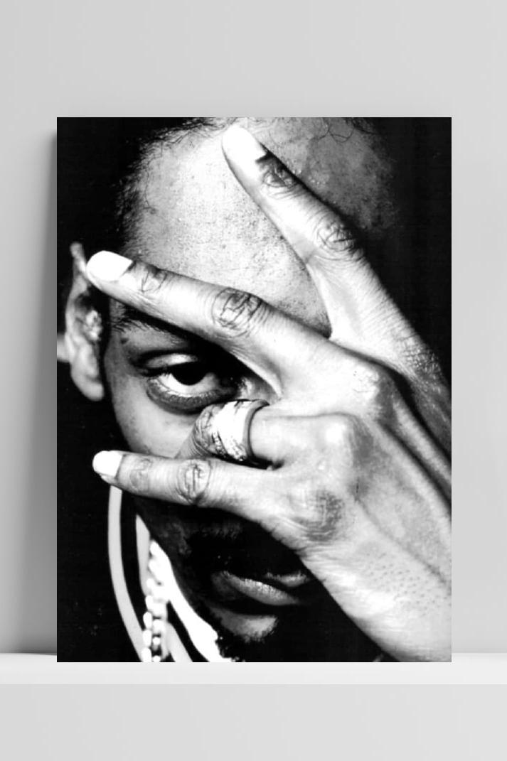 Snoop Dogg B&W op 3mm aluminium dibond