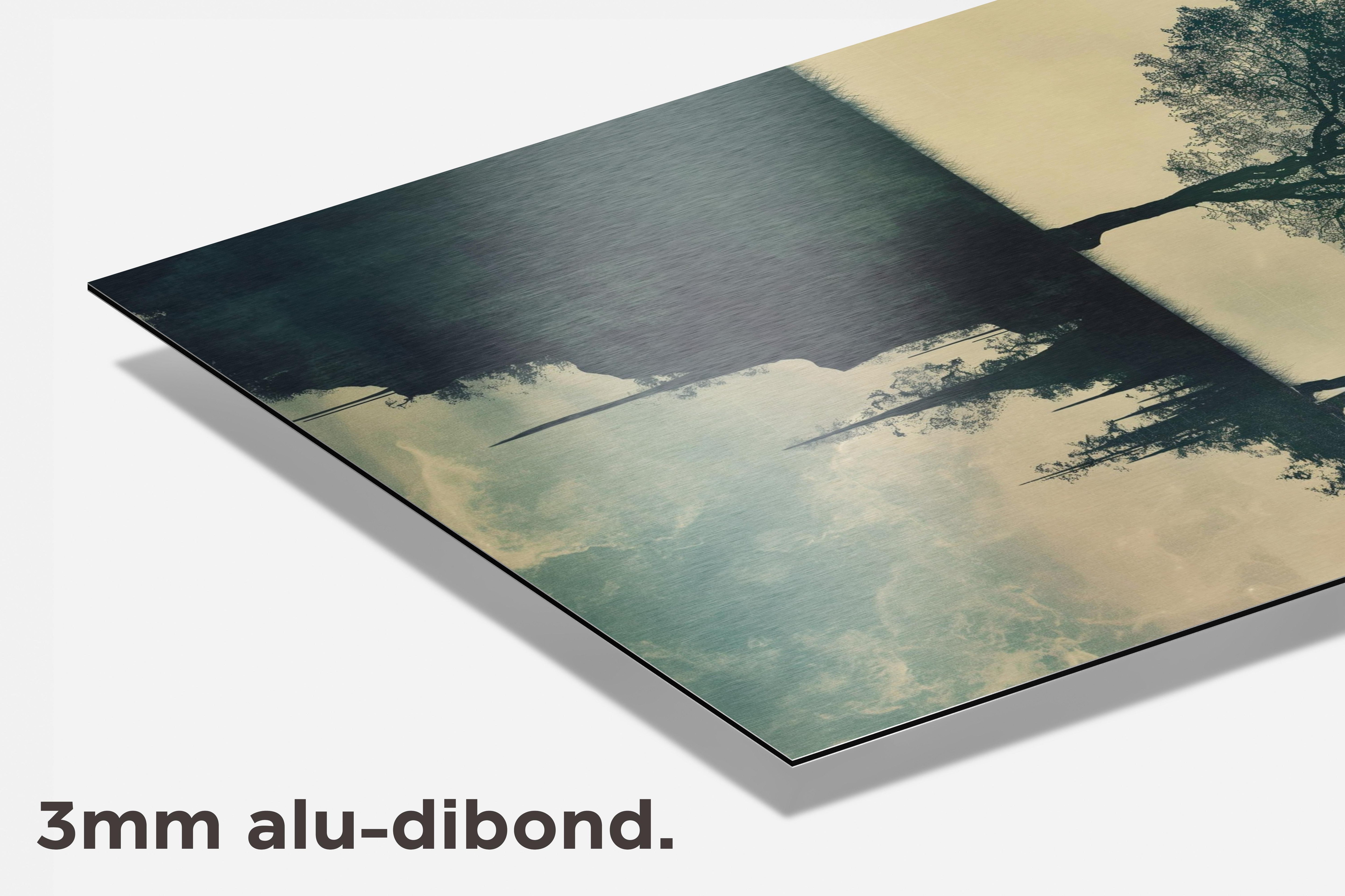 Man Levensboom dibond detail
