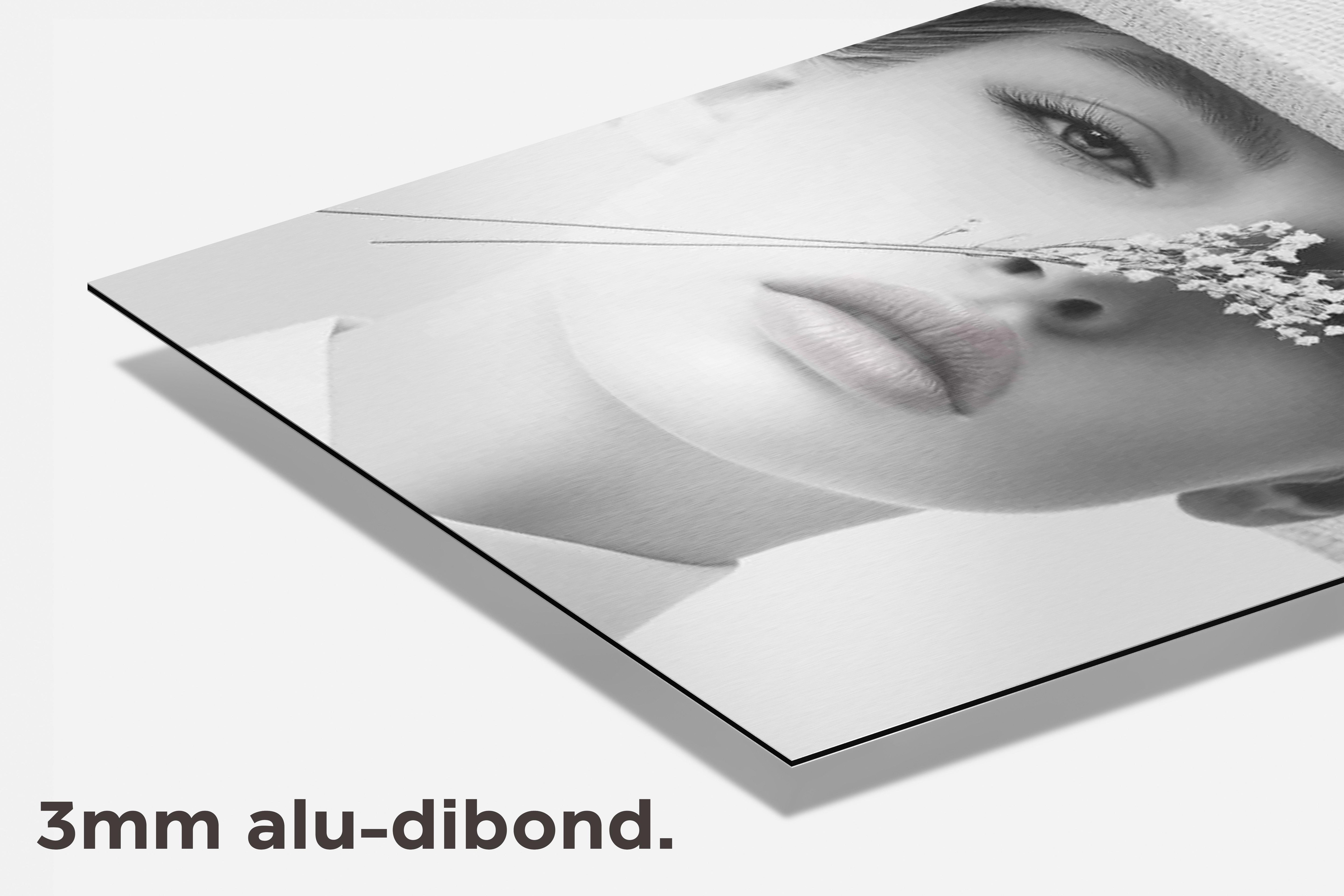 Vrouwenportret dibond detail