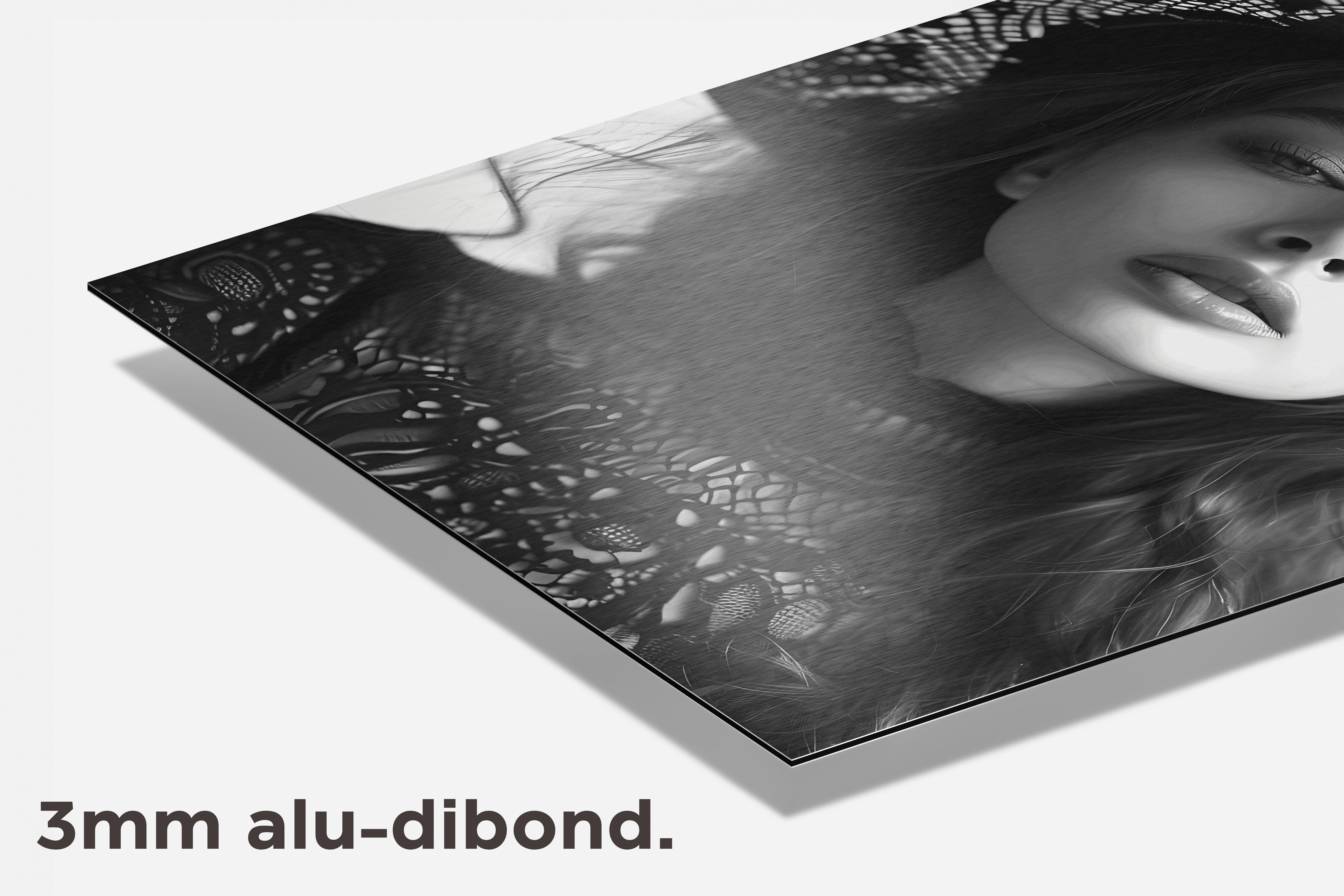 Vrouw Met Hoed dibond detail