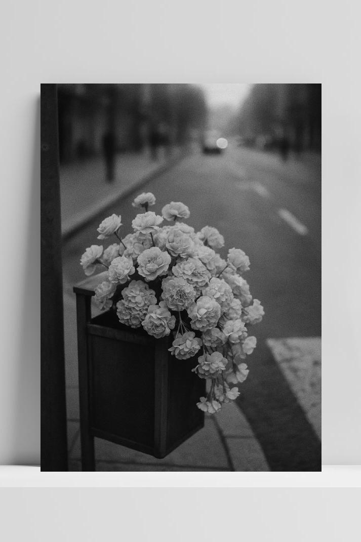 Flowers Street Zwart-Wit dans un intérieur