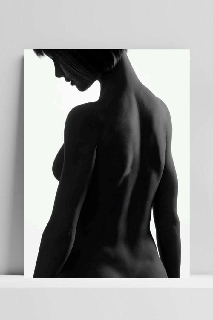 Silhouette op 3mm aluminium dibond