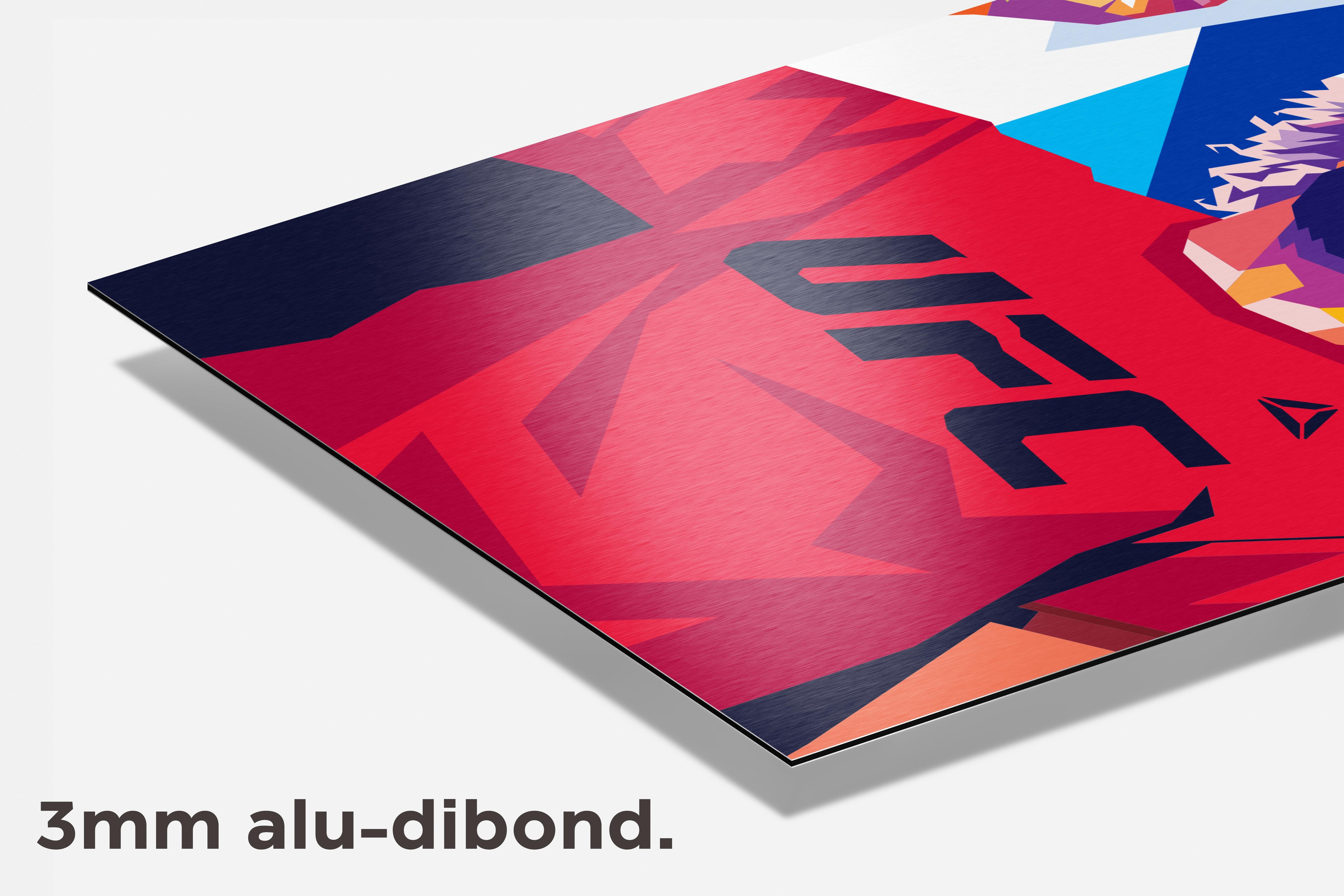 Khabib dibond detail