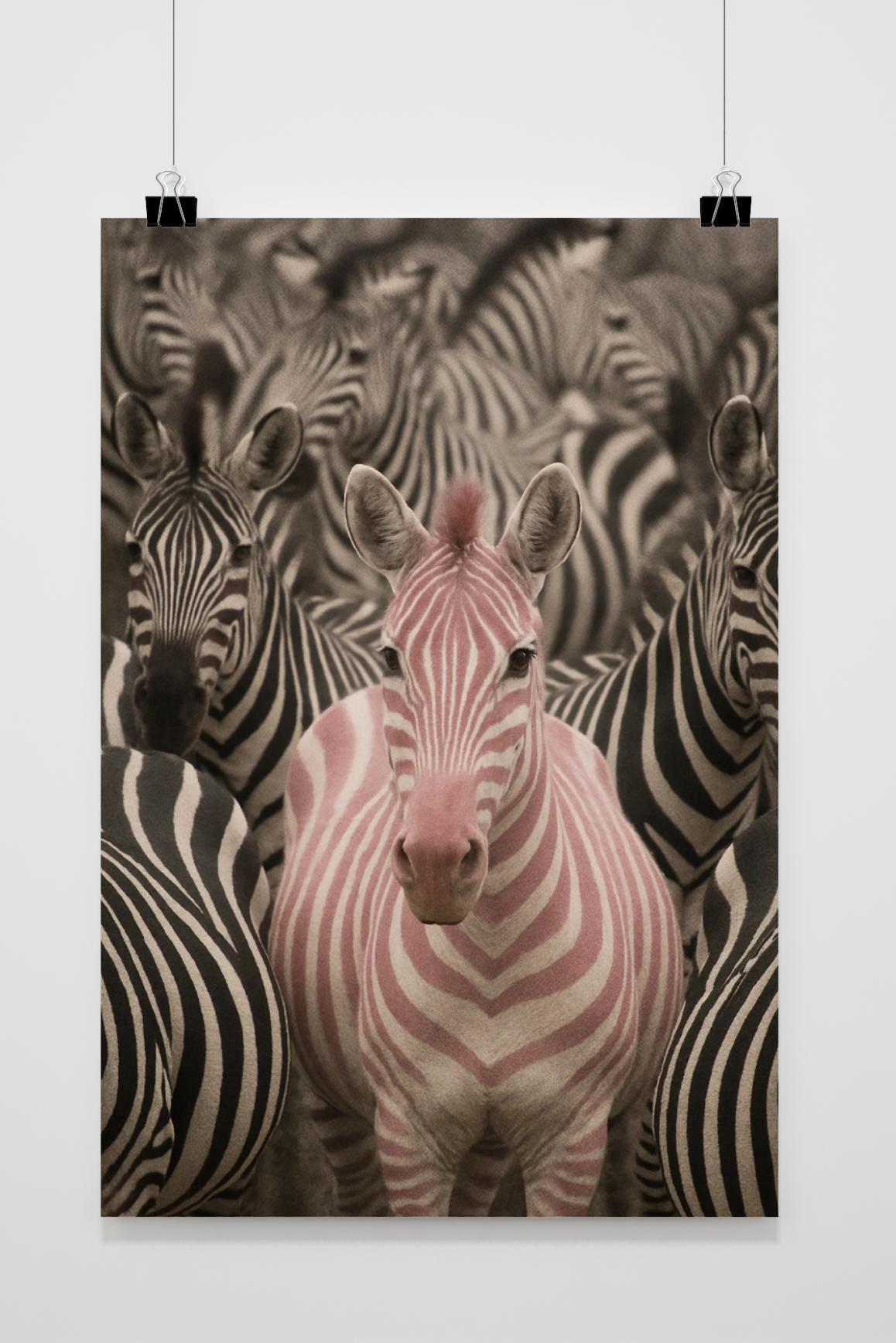 Zebra poster van 25 Artstreet