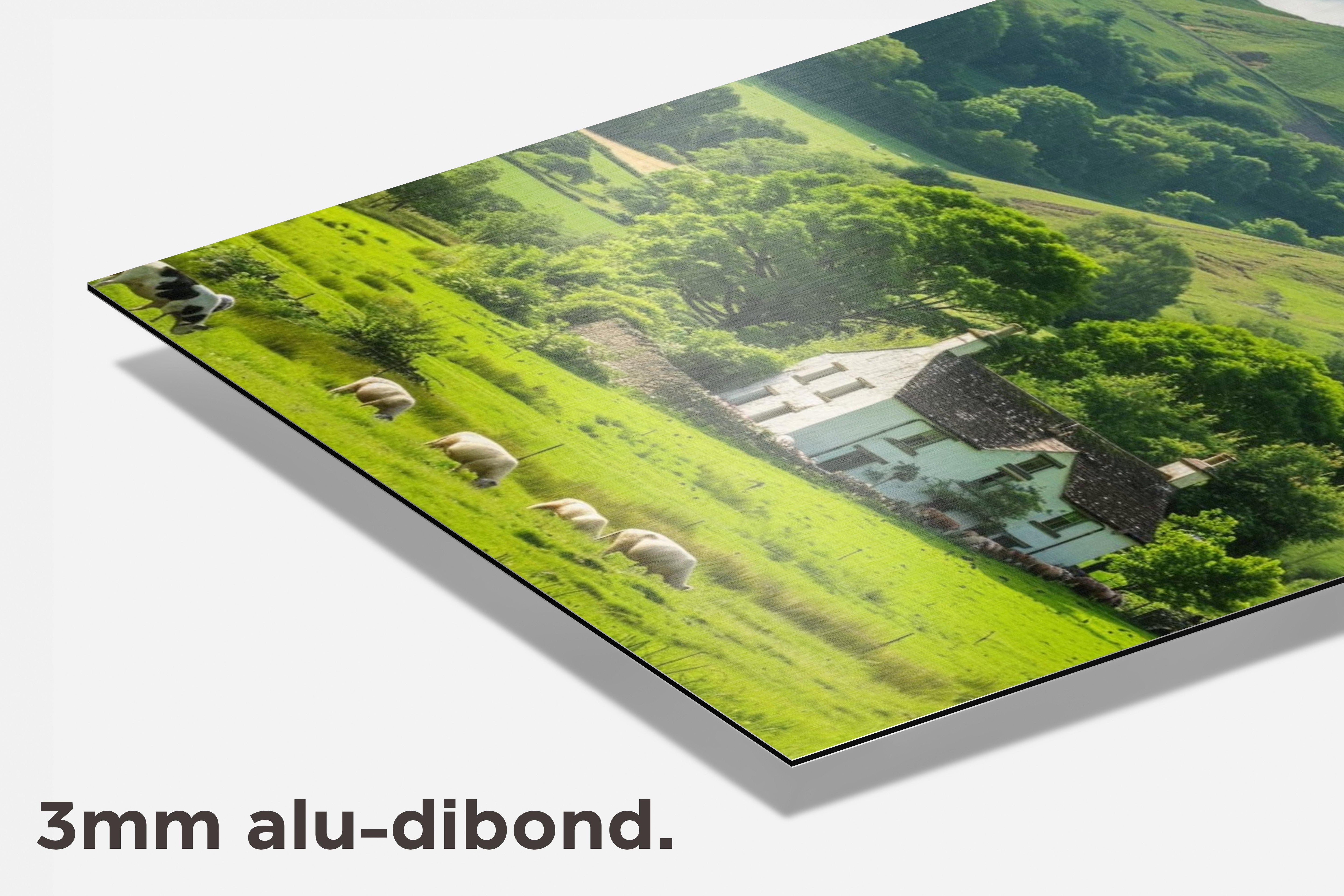 Platteland dibond detail