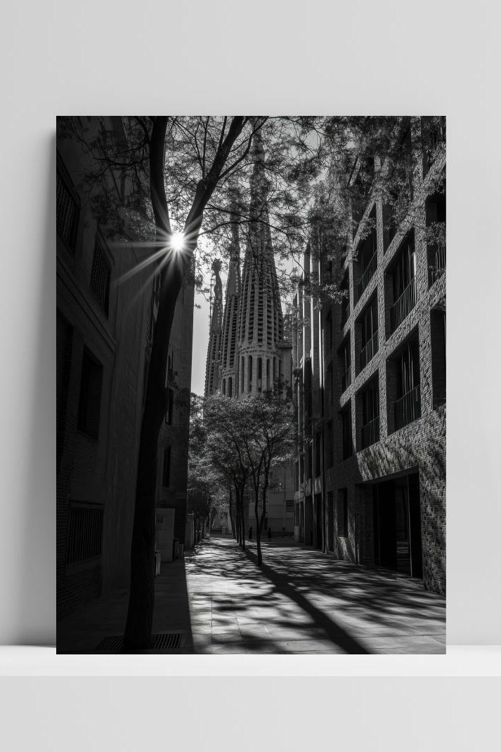 Barcelona B&W op 3mm aluminium dibond