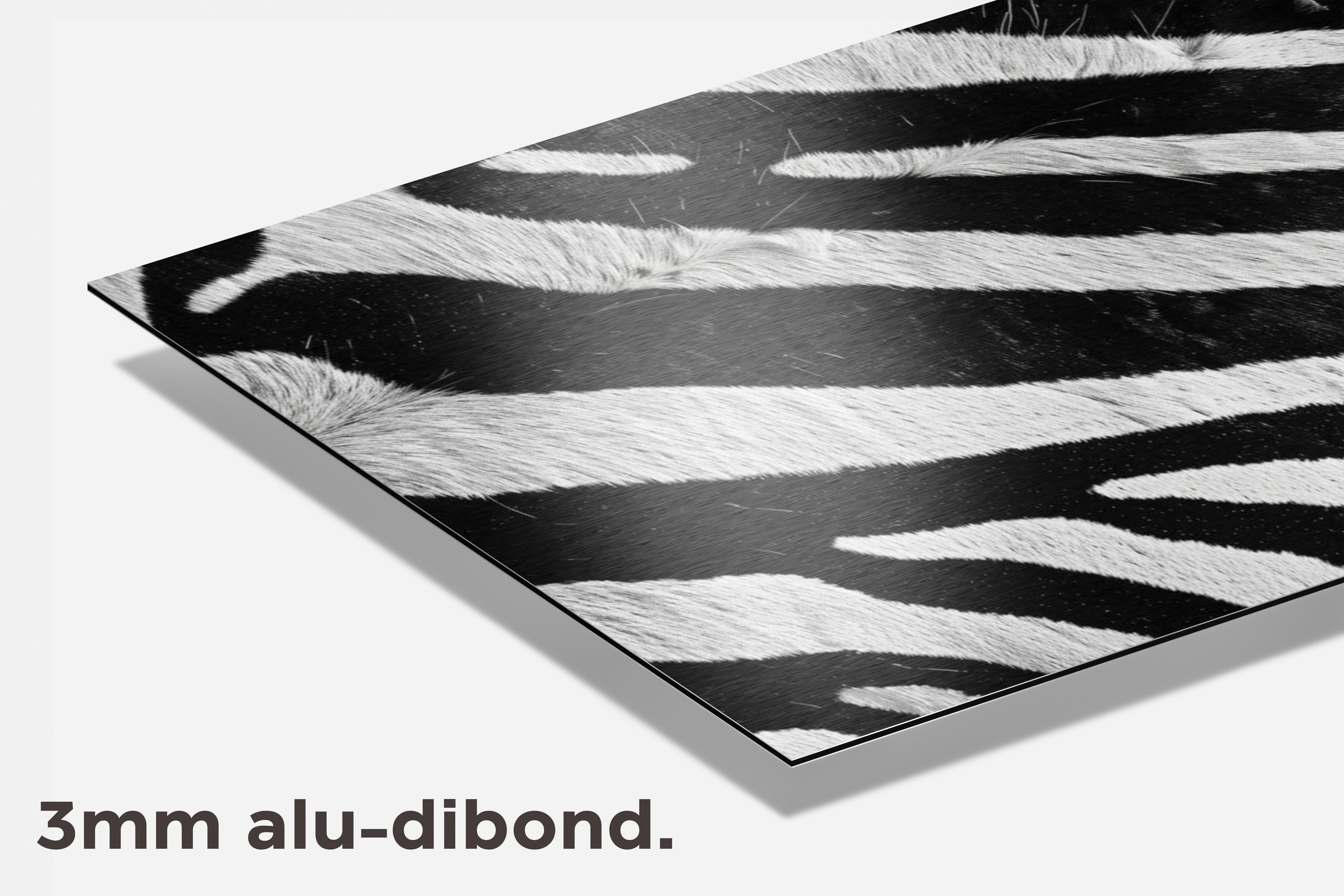 Strepen Zwart Wit dibond detail