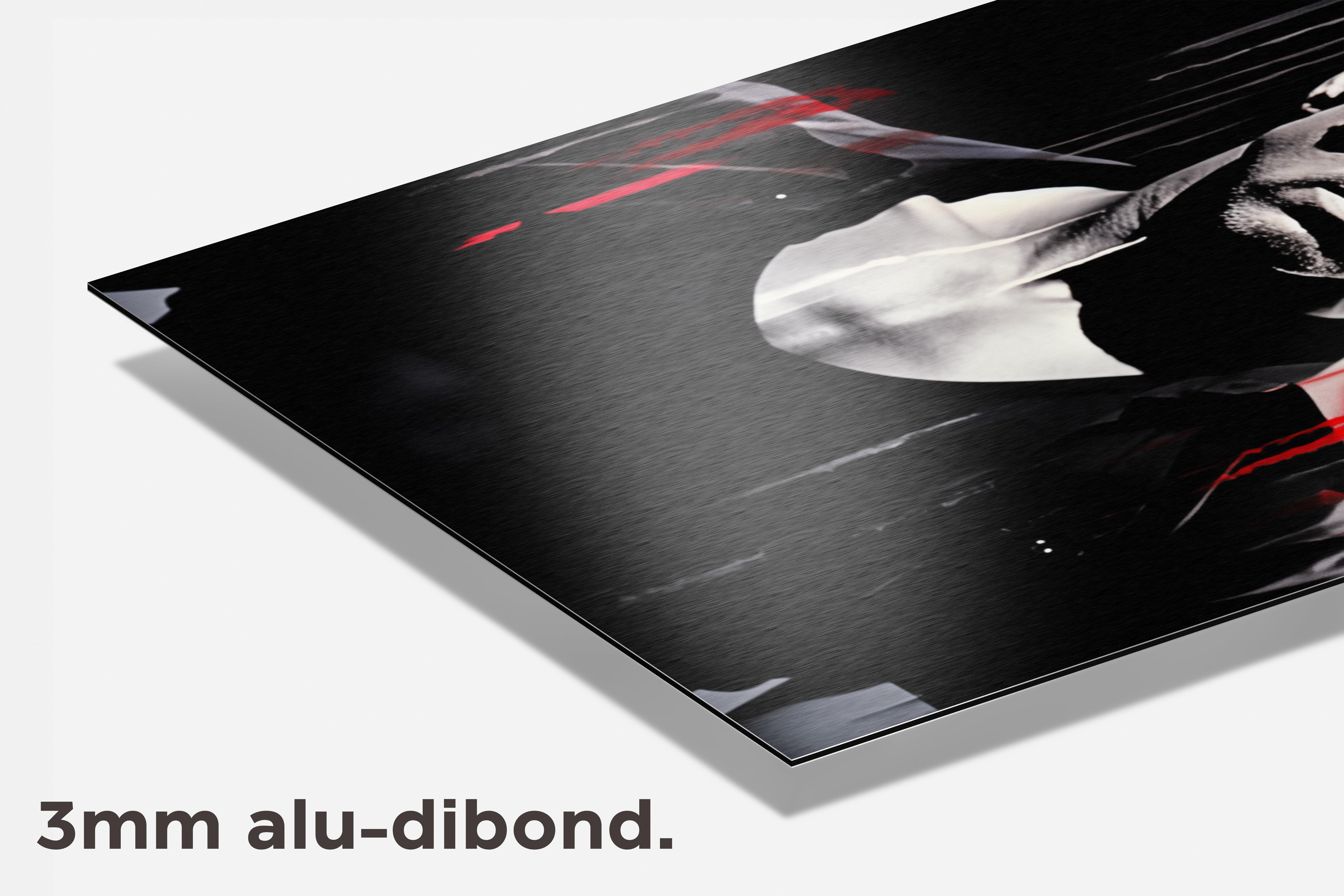 Cobra Sylvester Stallone dibond detail