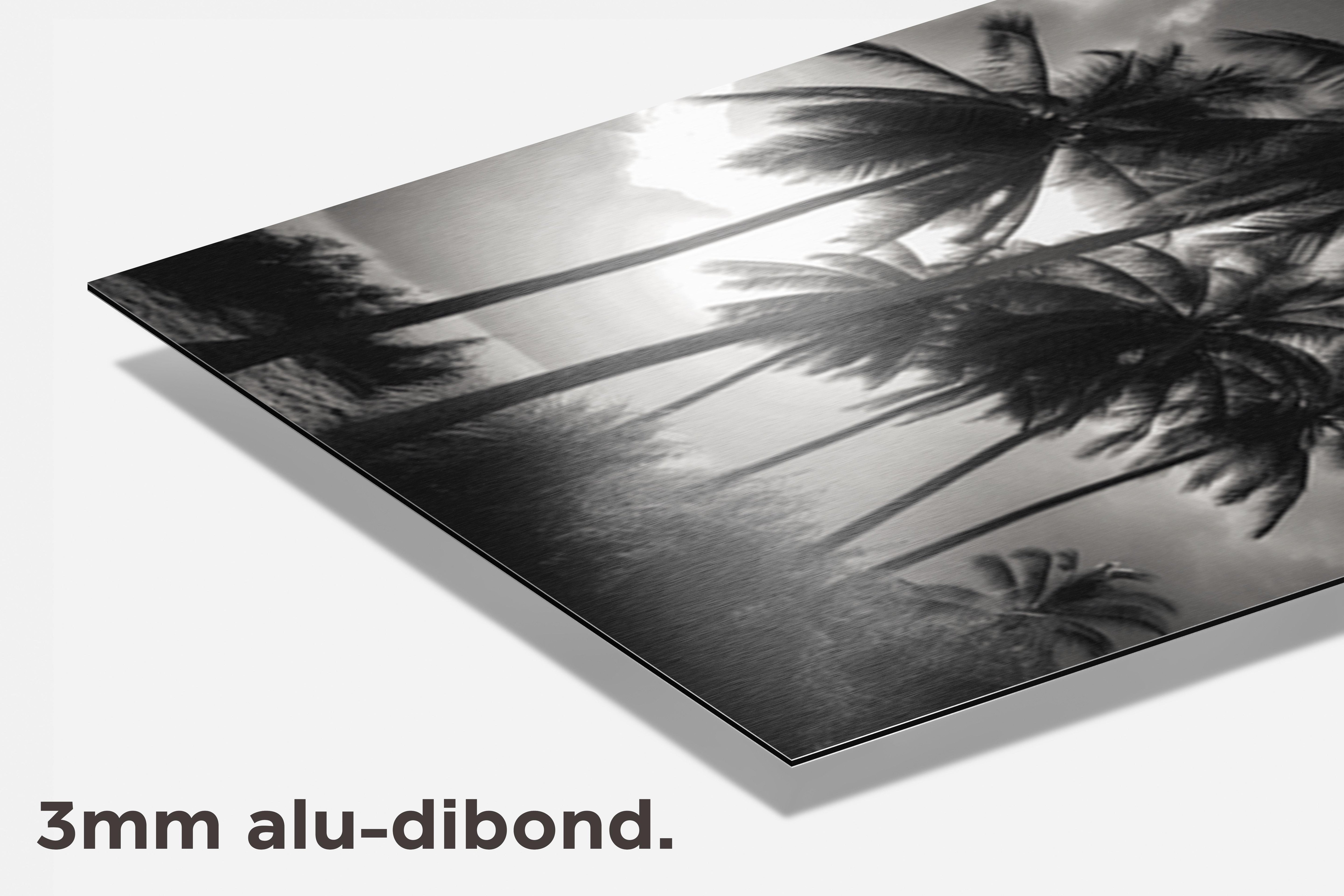 Palmbomen Zwart Wit dibond detail