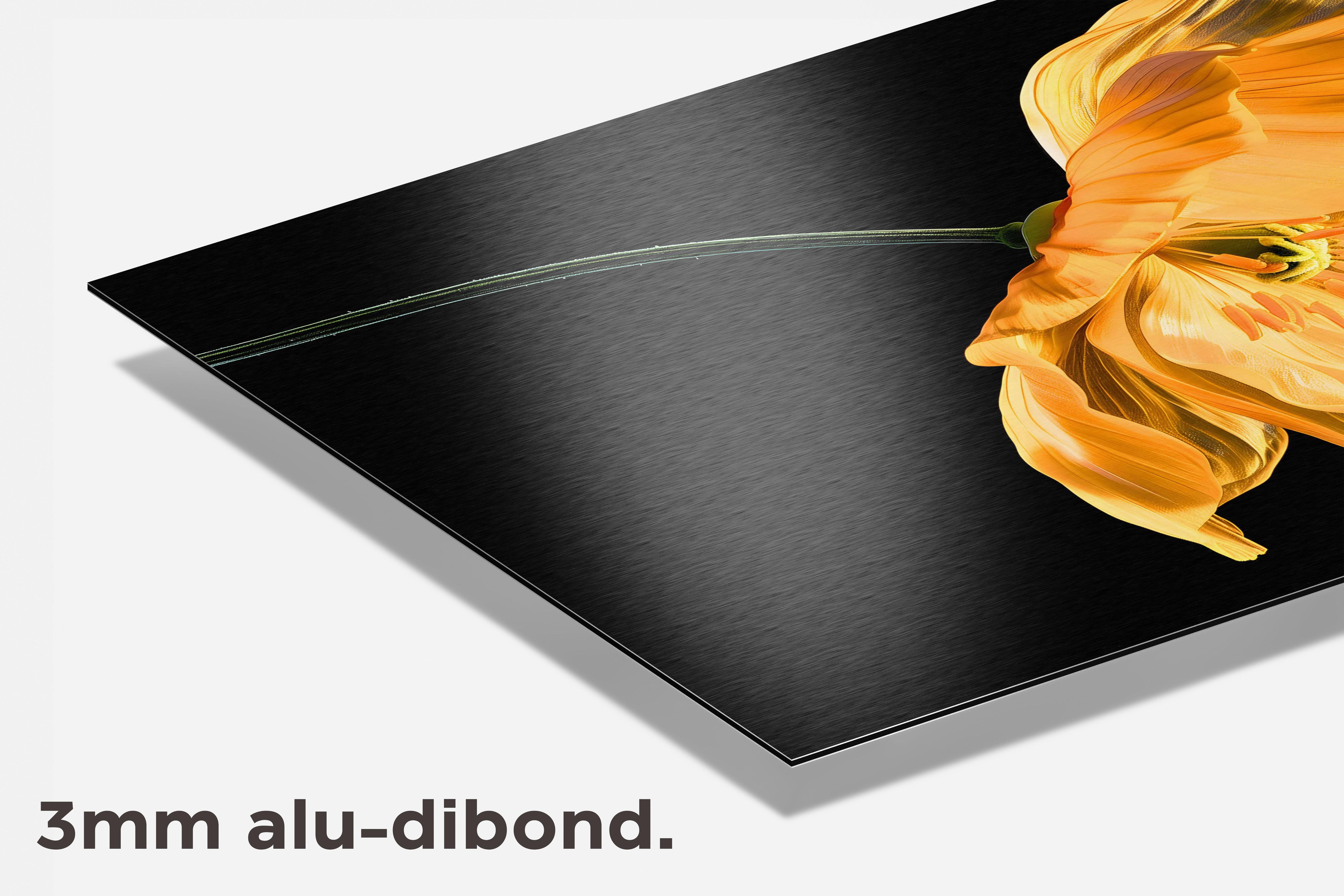 Gele Klaproos dibond detail