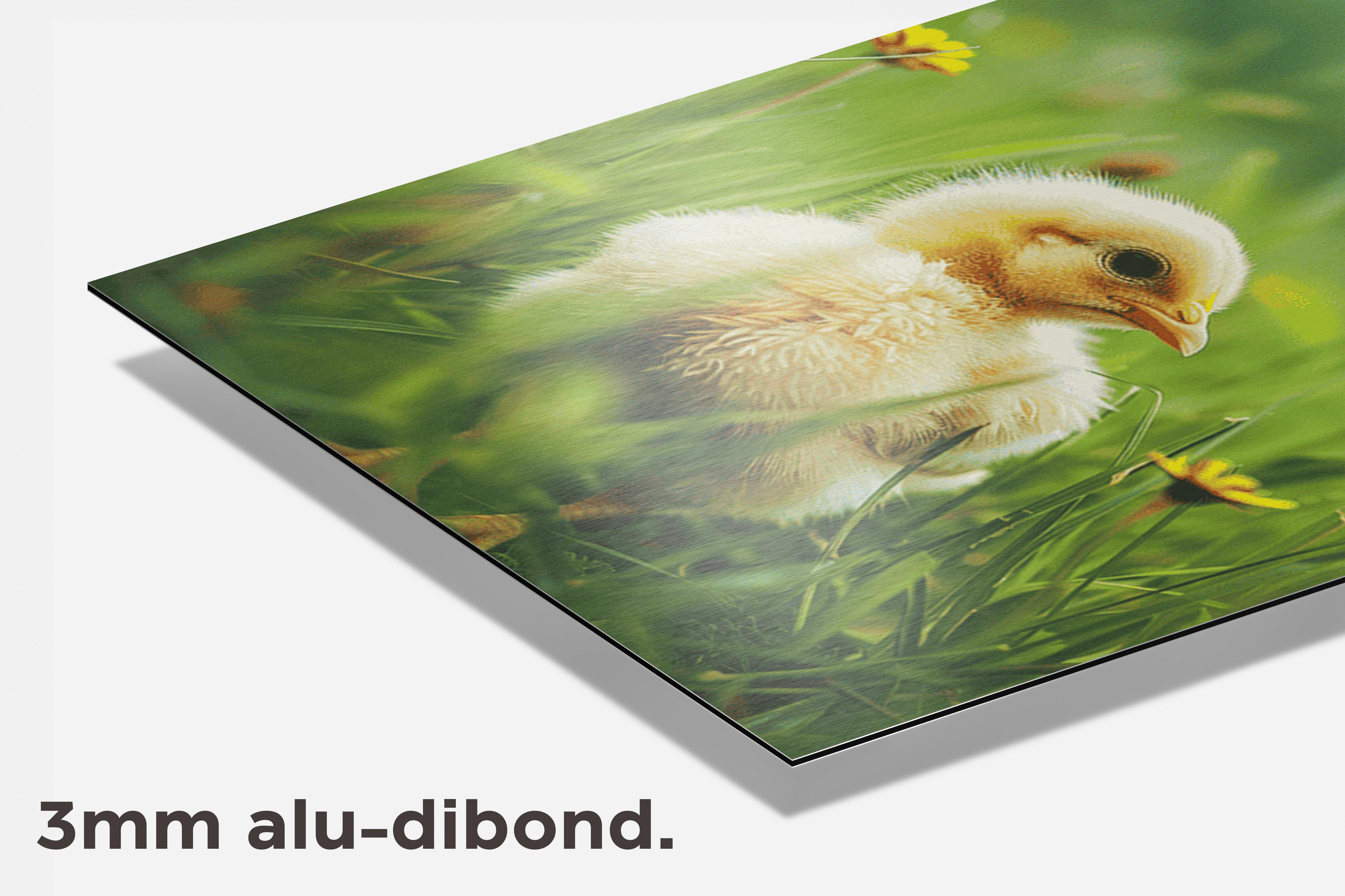 Kuiken Natuur dibond detail
